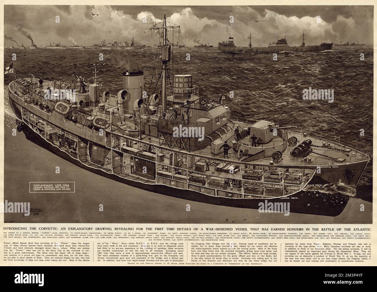Wir stellen vor: Die Corvette: Eine erläuternde Zeichnung, die Details eines Kriegsschiffes enthüllt, das im Zweiten Weltkrieg in der Schlacht um den Atlantik Ehre erlangte. Datum: 1943 Stockfoto