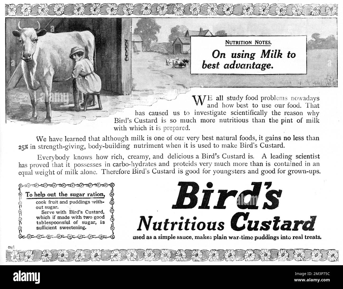 Werbung für Bird's „Nutritious“ Custard, mit einer Illustration eines Landmädchens, das eine Kuh melkt, und Ratschlägen zur Ernährung, die darauf hindeuten, dass Milch optimal verwendet wird und um die Zuckerration zu unterstützen, Bird's Custard servieren, der zwei gute Esslöffel Zucker enthält. 1918 Stockfoto