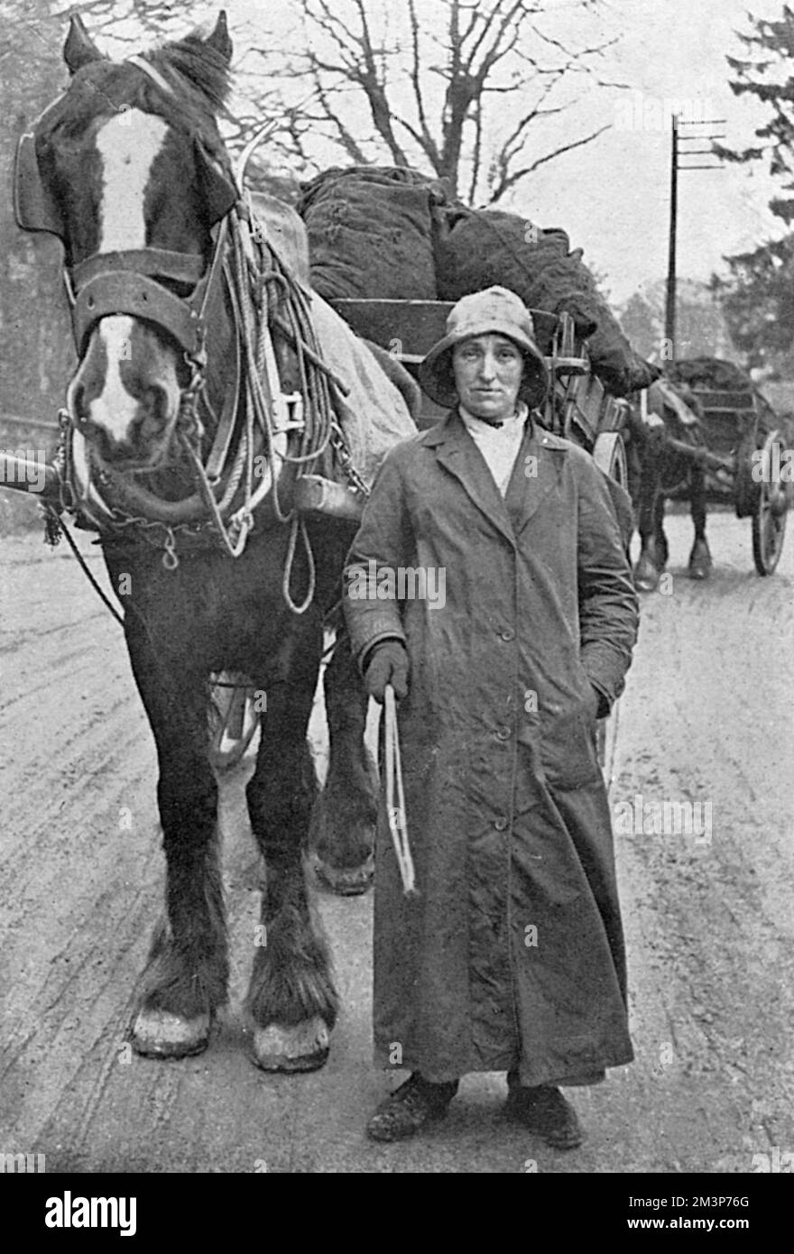 Lady mit Karthorse und Kohle, 1. Weltkrieg Stockfoto