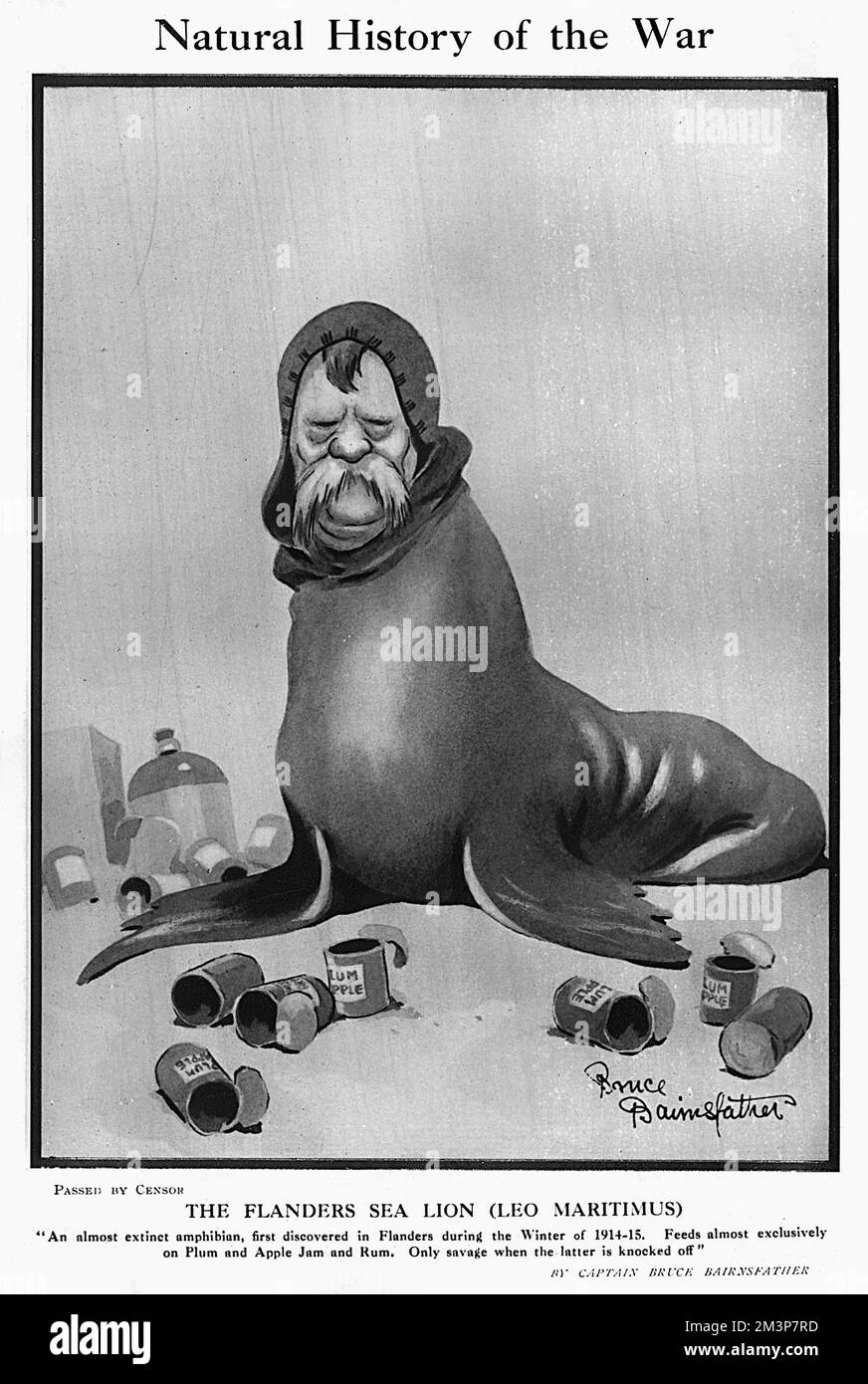 „Natural History of the war“ von Bruce Bairnsfather Stockfoto