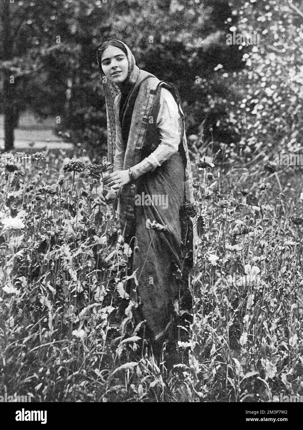 Roshana, alias Olive Craddock (1894-1926), Tänzerin. Craddock, die Tochter einer englischen Mutter und anglo-indischer Vater irischer Herkunft, lernte als Kind in Indien zu tanzen. Sie kam etwa 1909 nach Europa und nahm den Bühnennamen Roshanara nach einer legendären indischen Prinzessin an. Sie tanzte mit Loie Fullers Firma und erschien 1911 in London in Oscar Asche's Kismet und übernahm die Rolle von Zobeide in Scheherazade mit den Ballets Russes in Covent Garden. Sie kam 1912 zu Anna Pavlovas Firma und ließ sich schließlich in Amerika nieder, wo sie im Alter von 34 Jahren an Blinddarmentzündung starb. Abbildung bei Stockfoto