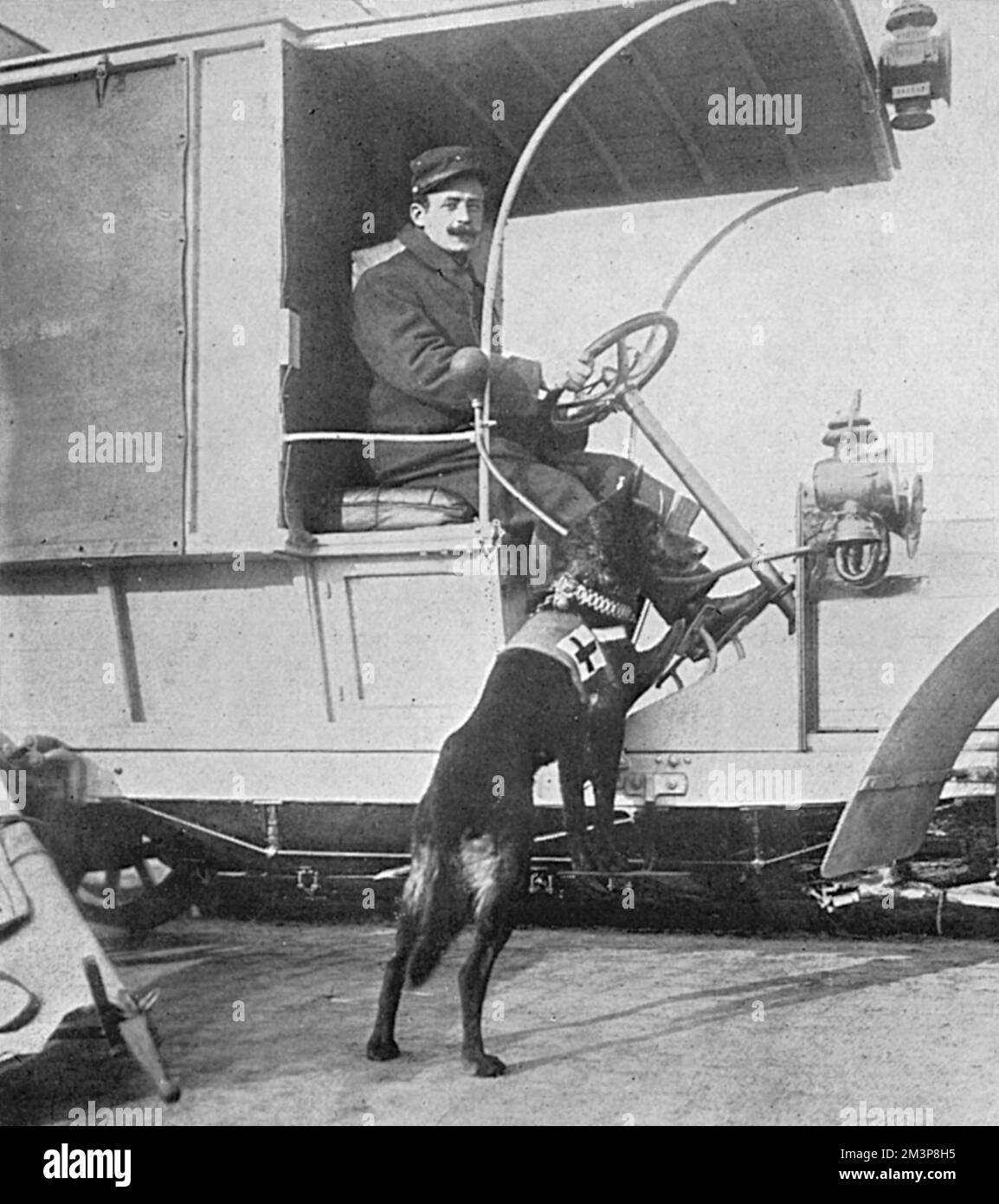 Ein Hundearbeiter vom Roten Kreuz, der im Ersten Weltkrieg an einen französischen Krankenwagen angeschlossen war Ausgebildete Hunde wurden nicht nur zur Jagd auf Verwundete in abgelegenen Teilen des Schlachtfeldes eingesetzt, sondern auch, um in die feurige Zone der Schlacht zu gelangen. Jeder langweilte sich mit einem Genfer roten Kreuz und trug auf seiner Brust einen kleinen Koffer mit Aufputschmitteln und erste-Hilfe-Ausrüstung. Datum: 1914 Stockfoto