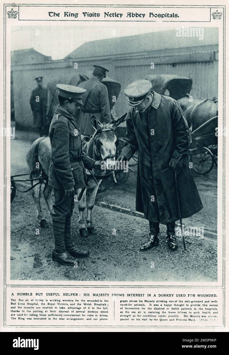 König George V begleitete Queen Mary und Prinzessin Mary beim Besuch des Royal Victoria Military Hospital in Netley, nahe Southampton, erweitert und genutzt vom Roten Kreuz während des Ersten Weltkriegs. George V. streichelte einen der Esel, die benutzt wurden, um konvaleszente Soldaten für Reitfahrten mitzunehmen. Stockfoto
