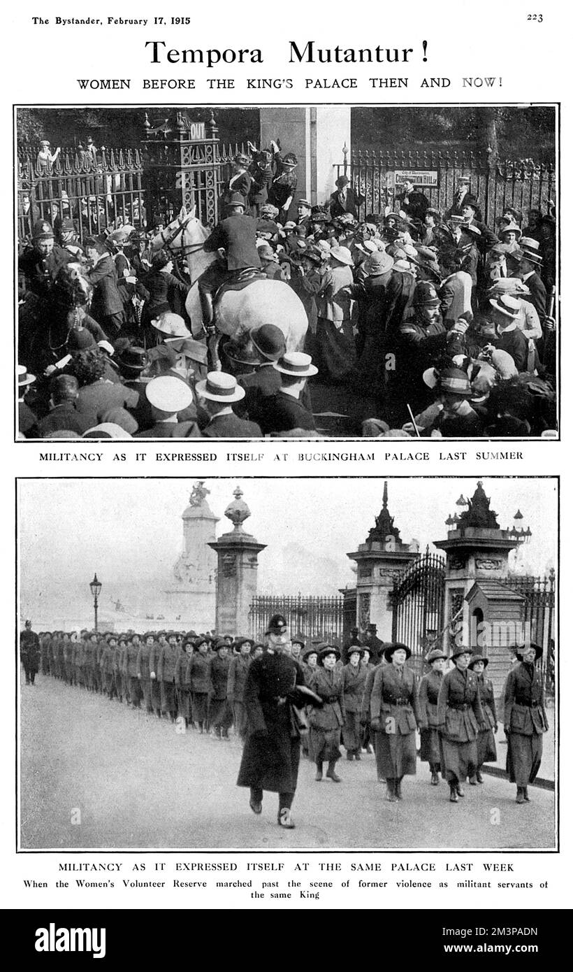 Der Zuschauer stellt die militante Demonstration von Suffragetten vor dem Buckingham-Palast im Sommer 1914, vor dem Ausbruch des Ersten Weltkriegs, mit der des Frauen-Freiwilligenreservats am selben Ort im Februar 1915 in Kontrast. Datum: Februar 1915 Stockfoto