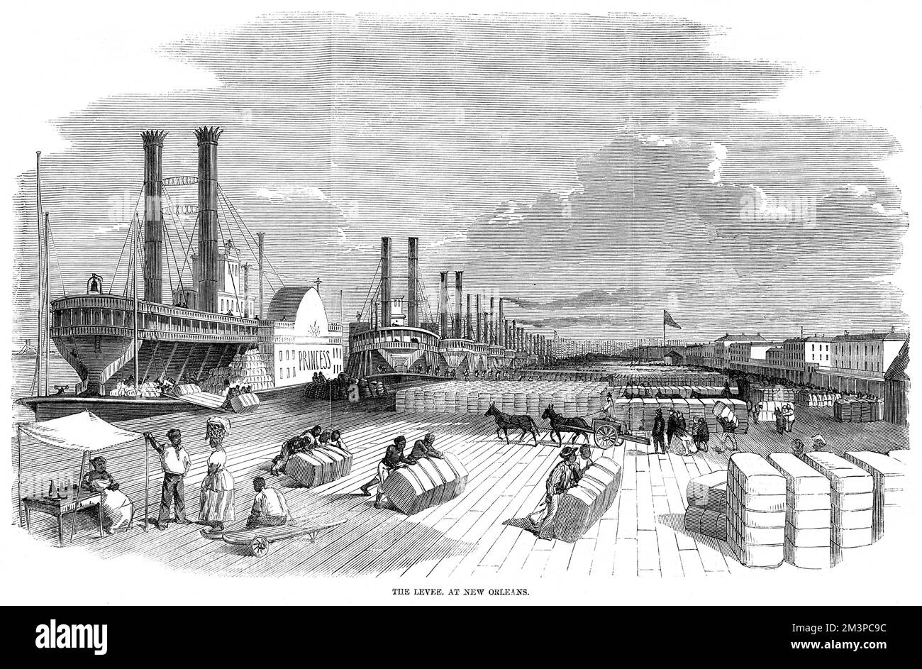 Der Deich in New Orleans mit Sklaven, die Baumwollballen und andere Produkte einziehen. Es gibt eine große Menschenmenge von Dampfbooten und Schiffen, die sich kilometerweit entlang des Deichs erstrecken. Datum: 1858 Stockfoto