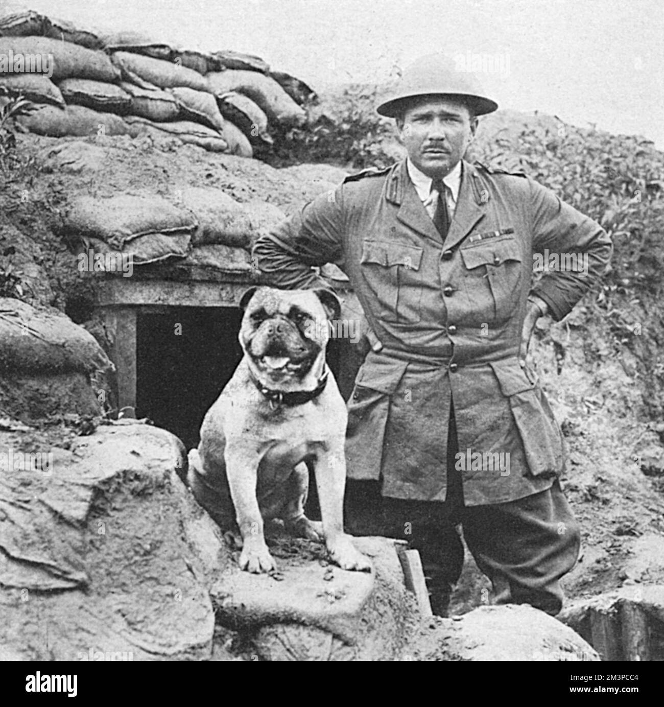 Gibby, eine riesige Bulldogge, posiert in einem Graben neben dem kommandierenden Offizier eines kanadischen Regiments in Frankreich. Der Hund wurde mehrere Male schwer vergast, aber er ging weiter mit seinen Männern in Aktion, wie in der Bildunterschrift beschrieben. Datum: 1919 Stockfoto