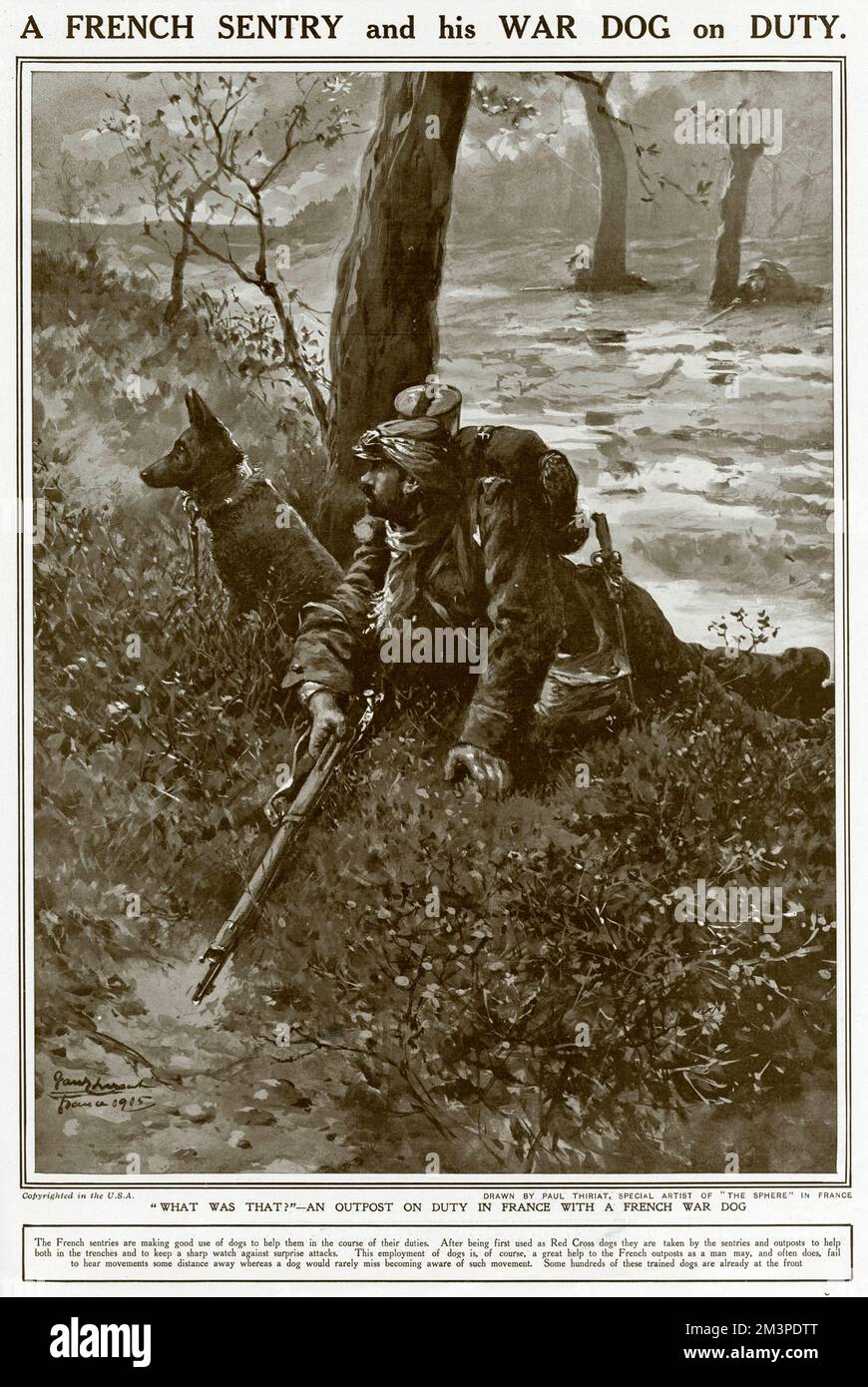 Ein Außenposten in Frankreich mit einem französischen Kriegshund, der als zusätzliches Paar Ohren fungierte, während er Wachdienst hatte. Datum: 1915 Stockfoto