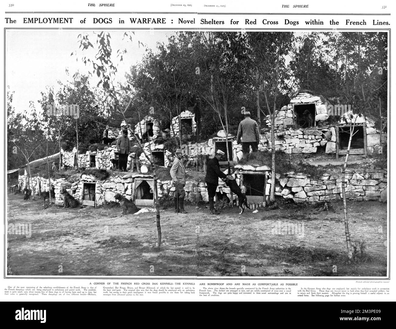 Beschäftigung von Hunden in der Kriegsführung, französische Linien, 1. Weltkrieg Stockfoto