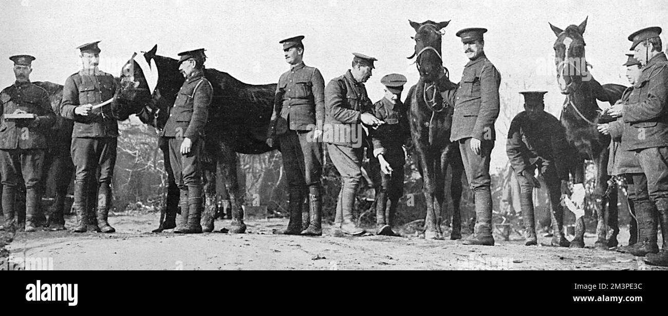 Blaues Kreuz-Krankenhaus in Frankreich, 1. Weltkrieg Stockfoto