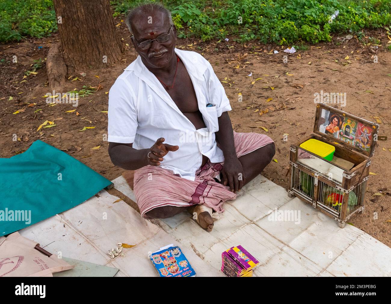 Wahrsager mit Papageien, Tamil Nadu, Karaikudi, Indien Stockfoto