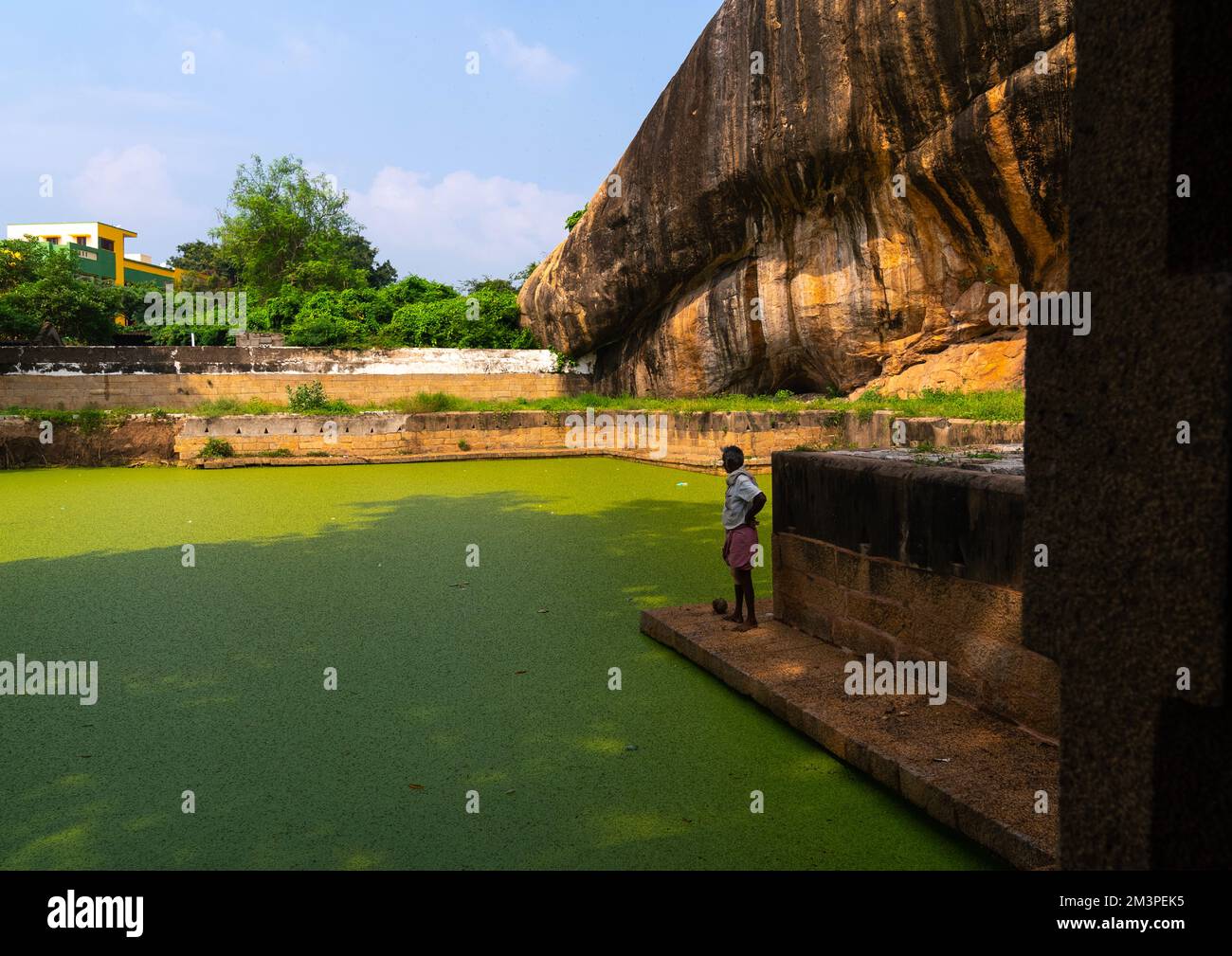 Grünes Wasser im Teich des shiva Tempels, Tamil Nadu, Thirumayam, Indien Stockfoto
