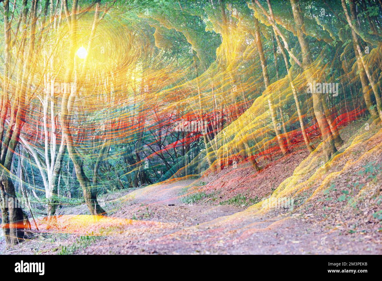 Tunnel des Lichts im Wald, Spiritualität und religiöser Glaube, innere Dimension, persönliches Wachstum, heiliger Geist Stockfoto