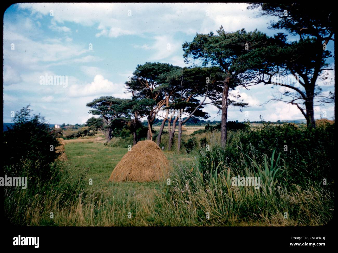 Straße nach Minnie's, Wanderwege und Pfade. Edmund L. Mitchell Kollektion Stockfoto