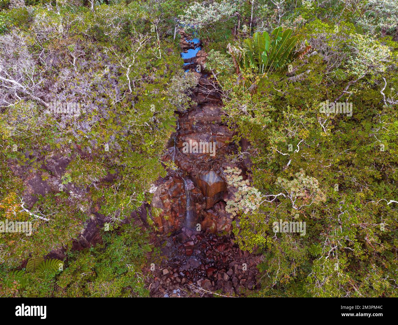 Die Alexandra-Wasserfälle sind Teil des Nationalparks Black River Gorges auf Mauritius Island Stockfoto