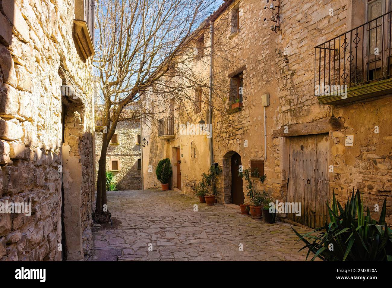 Straße im ummauerten historischen Zentrum von Montfalcó Murallat, Katalonien, Spanien Stockfoto