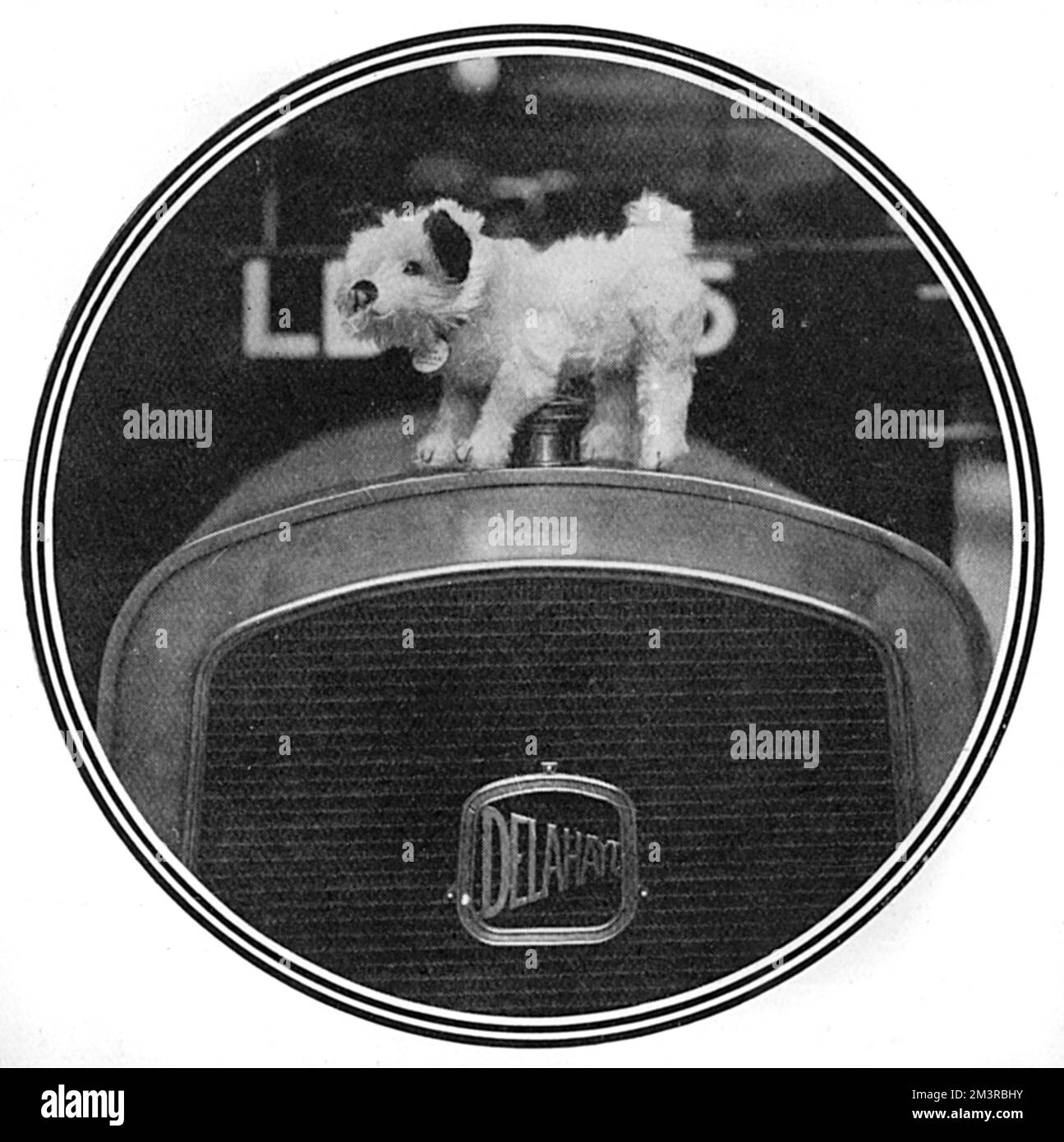 Ein Automaskottchen aus dem Jahr 1910 in Form des berühmten Terrier Dog Cäsar des verstorbenen Königs Edward VII Cäsar folgte dem Sarg des Königs bei der Beerdigung und gewann die Herzen der Öffentlichkeit. Das Maskottchen des kleinen Hundes trug ein Medaillon, auf dem "Ich bin Cäsar, Engländer." 1910 Stockfoto