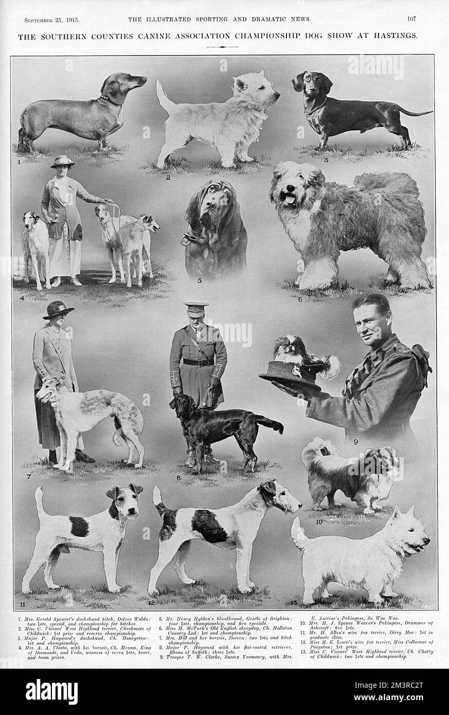 Bei der Southern Counties Canine Association Championship Hundeshow in Hastings werden einige Hunde gezeigt, von denen einige mit ihren jeweiligen Besitzern posieren. Der Text unten listet die Namen der Hunde und ihrer Besitzer auf. Datum: 1915 Stockfoto
