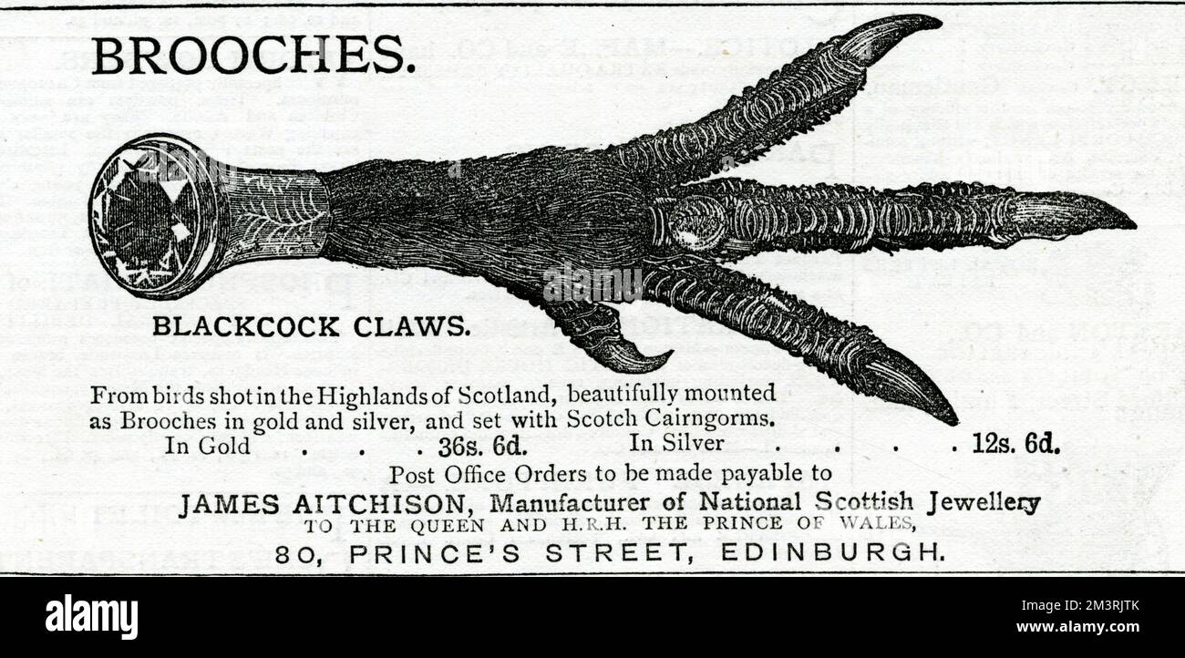 James Aitchison, Hersteller von National Scottish Jewellery. Von Vögeln, die in den Highlands von Schottland geschossen wurden, als Broschen in Gold und Silber montiert und mit Scotch Cairngorms Steinen gesäumt. 1883 Stockfoto