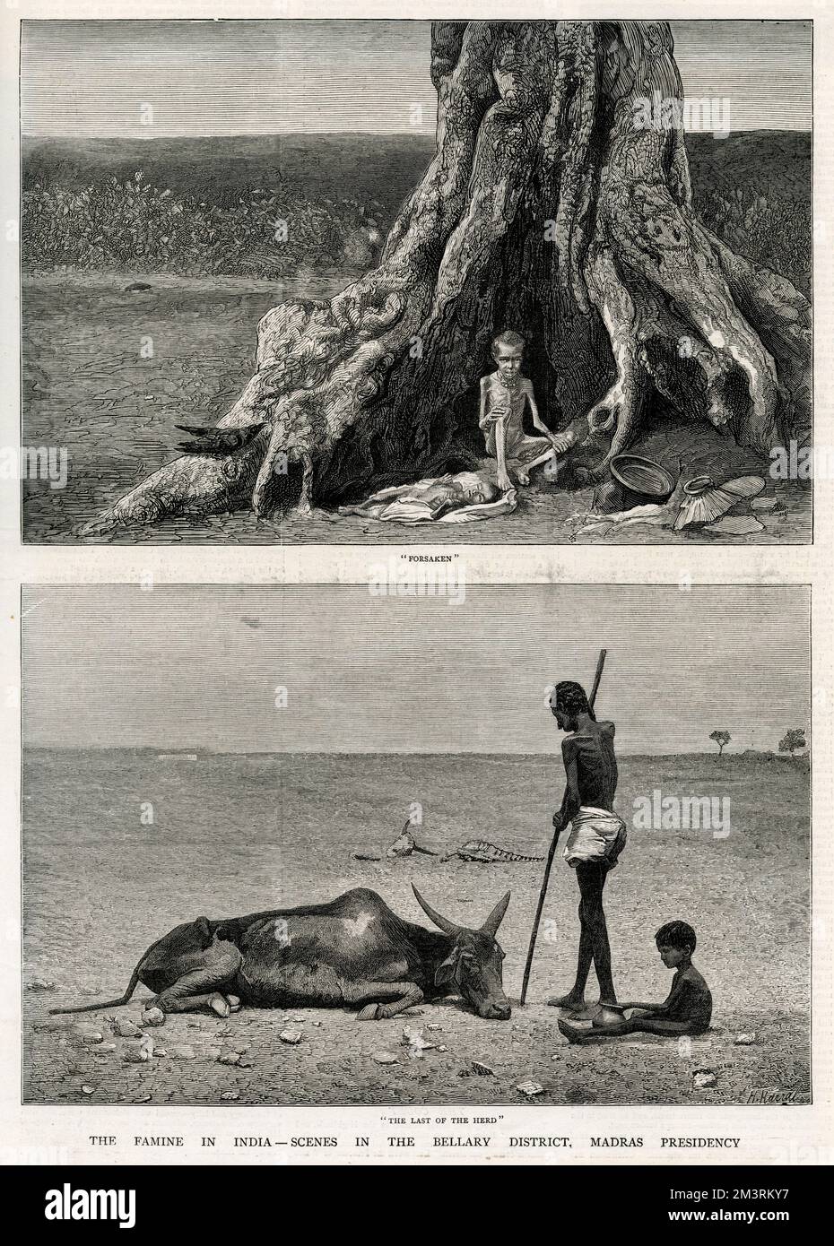 Seite aus der Grafik, 6.. Oktober 1877, zeigt die Hungersnot in Indien - Szenen im Bellary-Viertel, Madras-Präsidentschaft. "Verlassen" und "der Letzte der Herde". 1877 Stockfoto