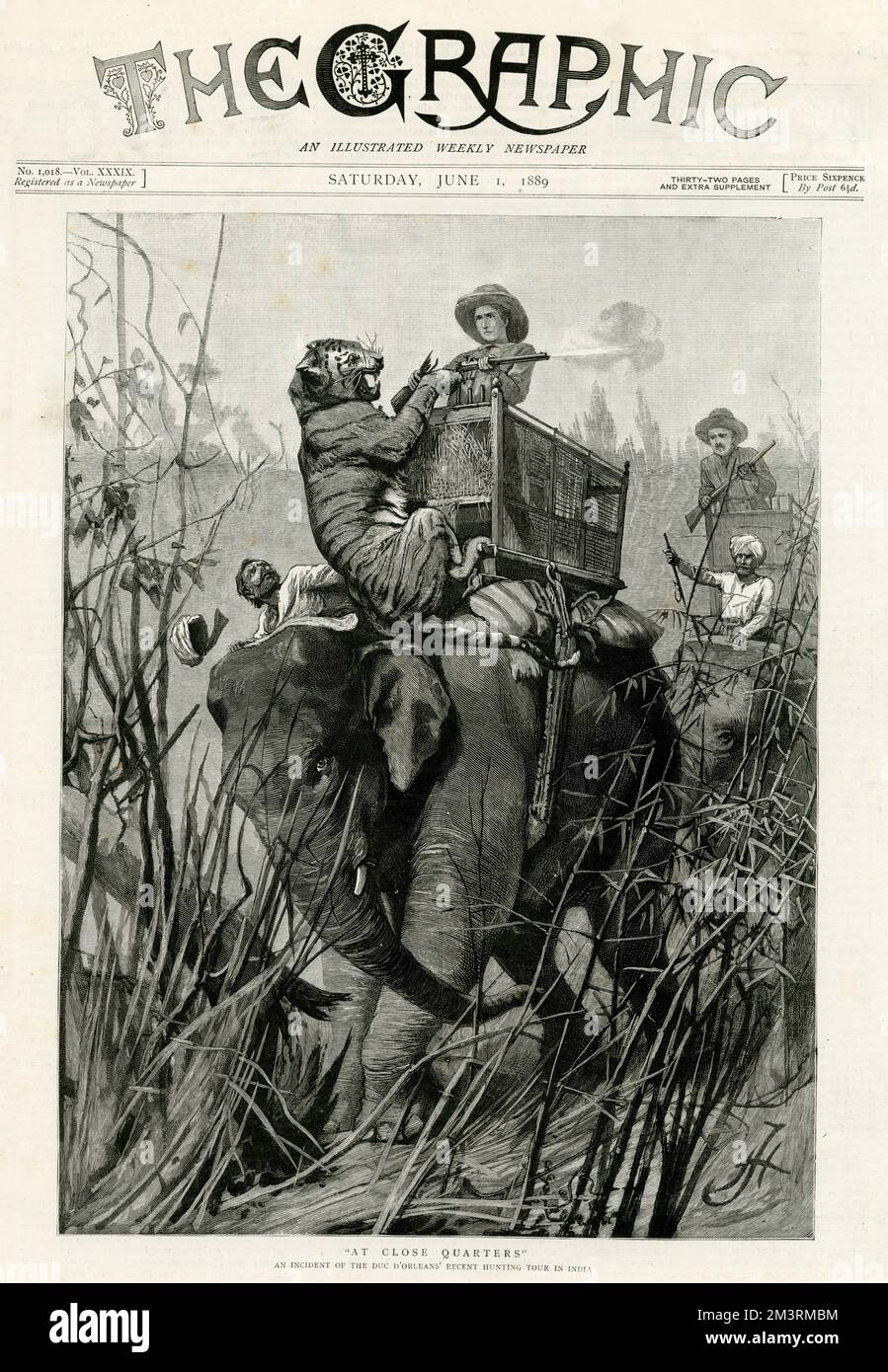 Schließen Sie das Quartier mit einem Tiger 1889 Stockfoto