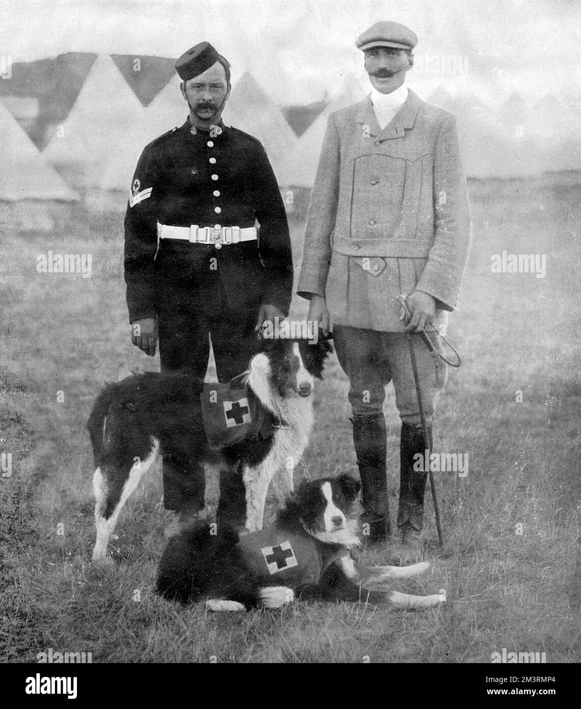 Major Edwin Hautenville Richardson, berühmter Hundetrainer und Gründer der British war Dog School während des Ersten Weltkriegs, mit zwei der Krankenwagenhunde, die er trainierte und den Russen während des Russisch-Japanischen Krieges lieferte. Datum: 1905 Stockfoto