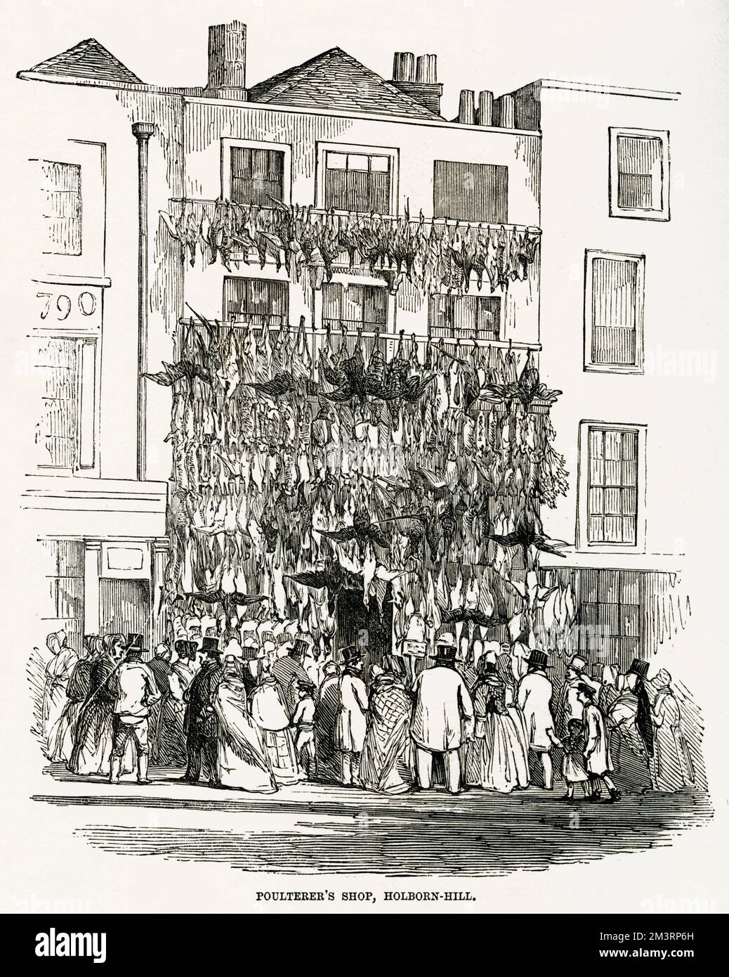 Poulterer's Shop, Holborn Hill 1845 Stockfoto
