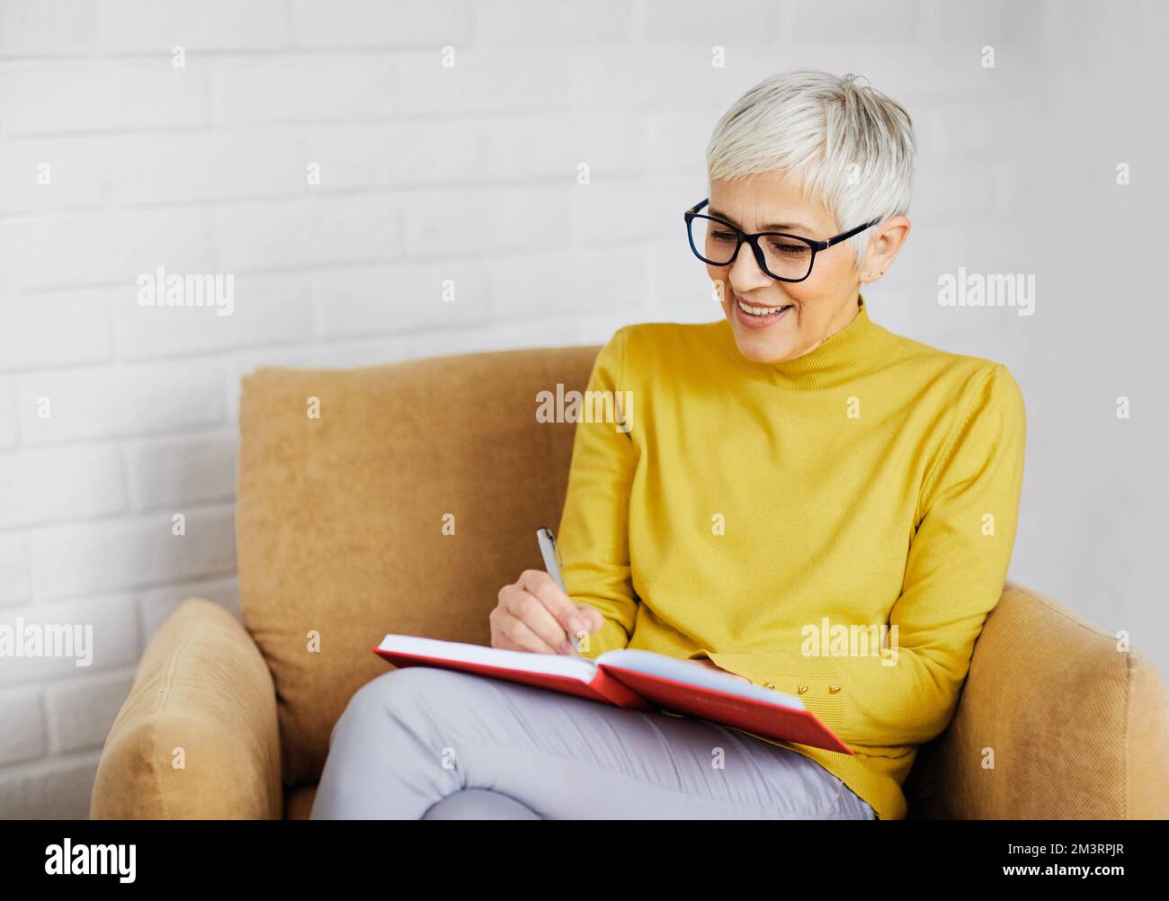 Schöne ältere Frau Porträt graue Haare schreiben Notizbuch Stift Notiz Arbeitsbuch Stockfoto