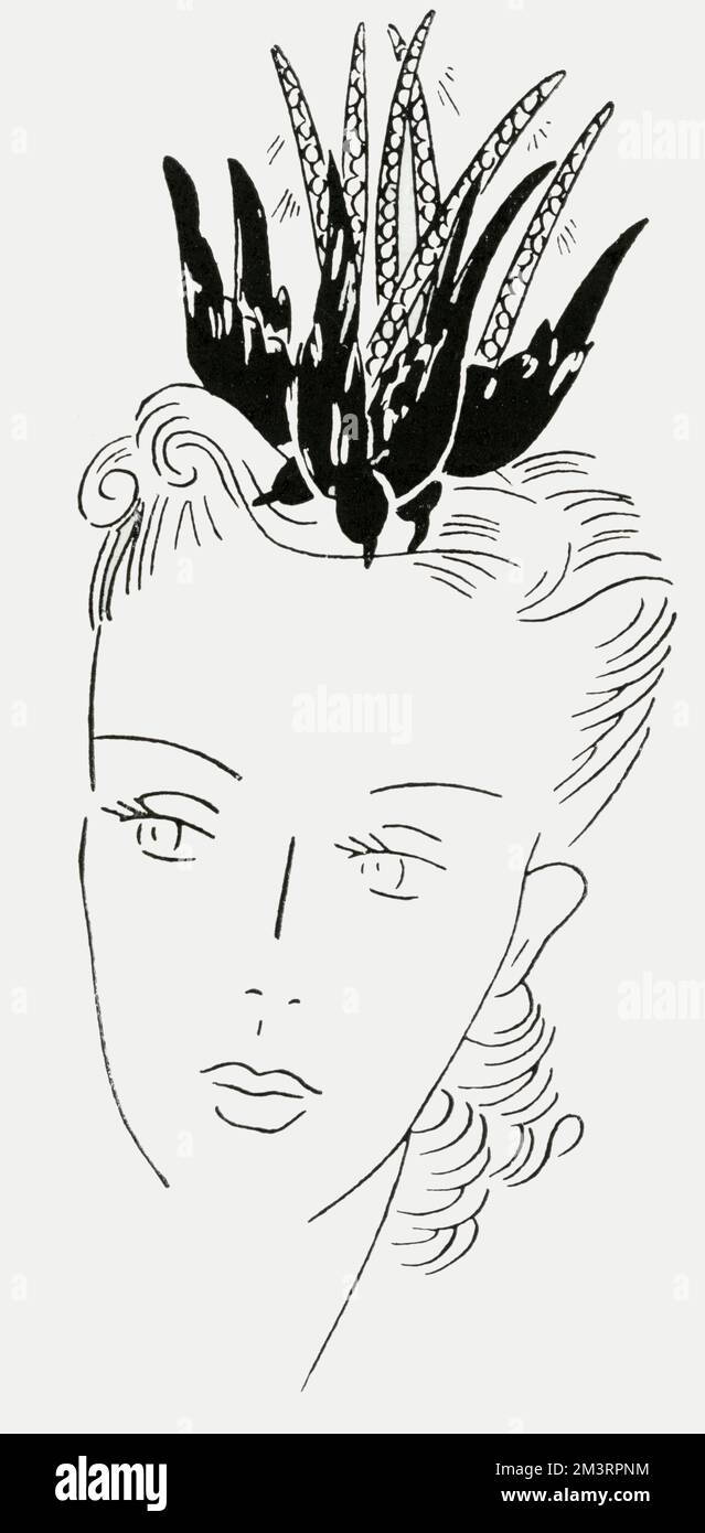 Ungewöhnlicher Kopfschmuck für Frauen am Abend mit fünf Amseln auf Samtbezug, erhältlich bei „Dickens and Jones“, „schön, etwas wirklich frivoles zu bekommen, denn solche Dinge fühlt man sich nicht immer berechtigt, für sich selbst zu kaufen!“ 1938 Stockfoto