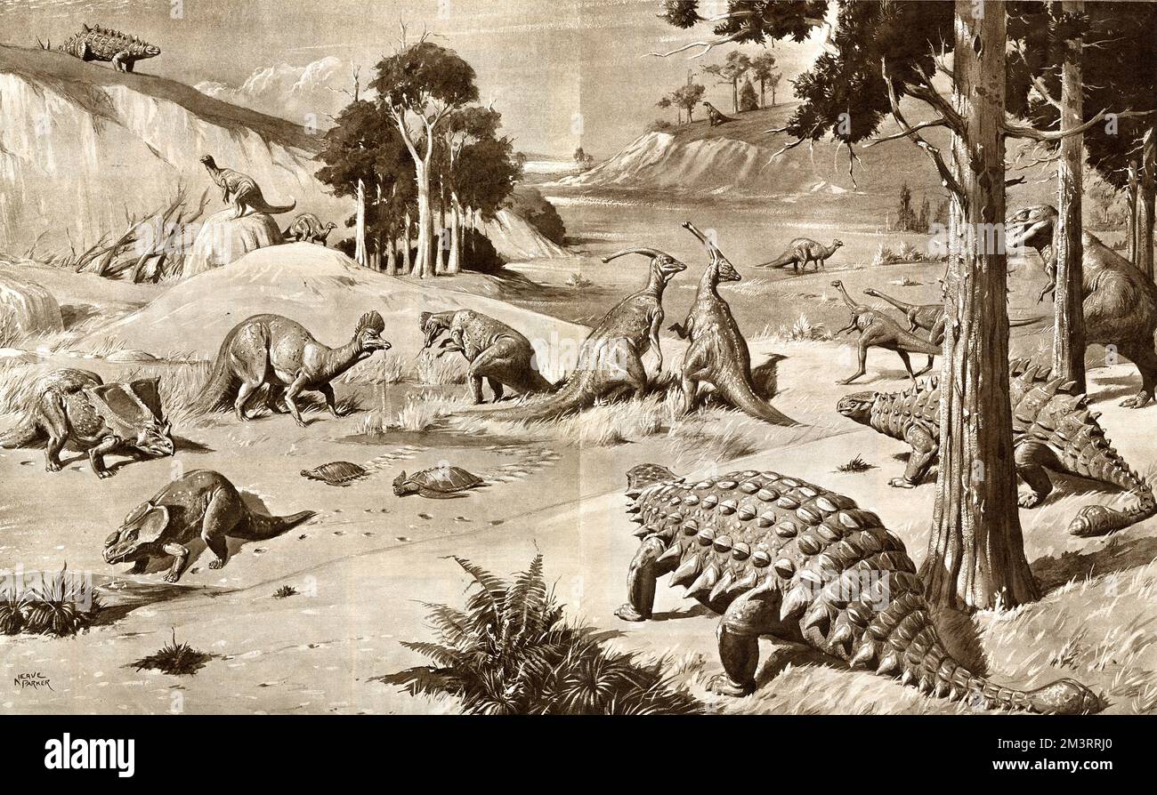 Dinosaurier aus der oberen Kreidezeit (die vor 100,5 Millionen Jahren begann und vor 66 Millionen Jahren endete) wurden in Alberta, Kanada, gefunden. Datum: Ca. 90 Millionen Jahre vor Christus Stockfoto