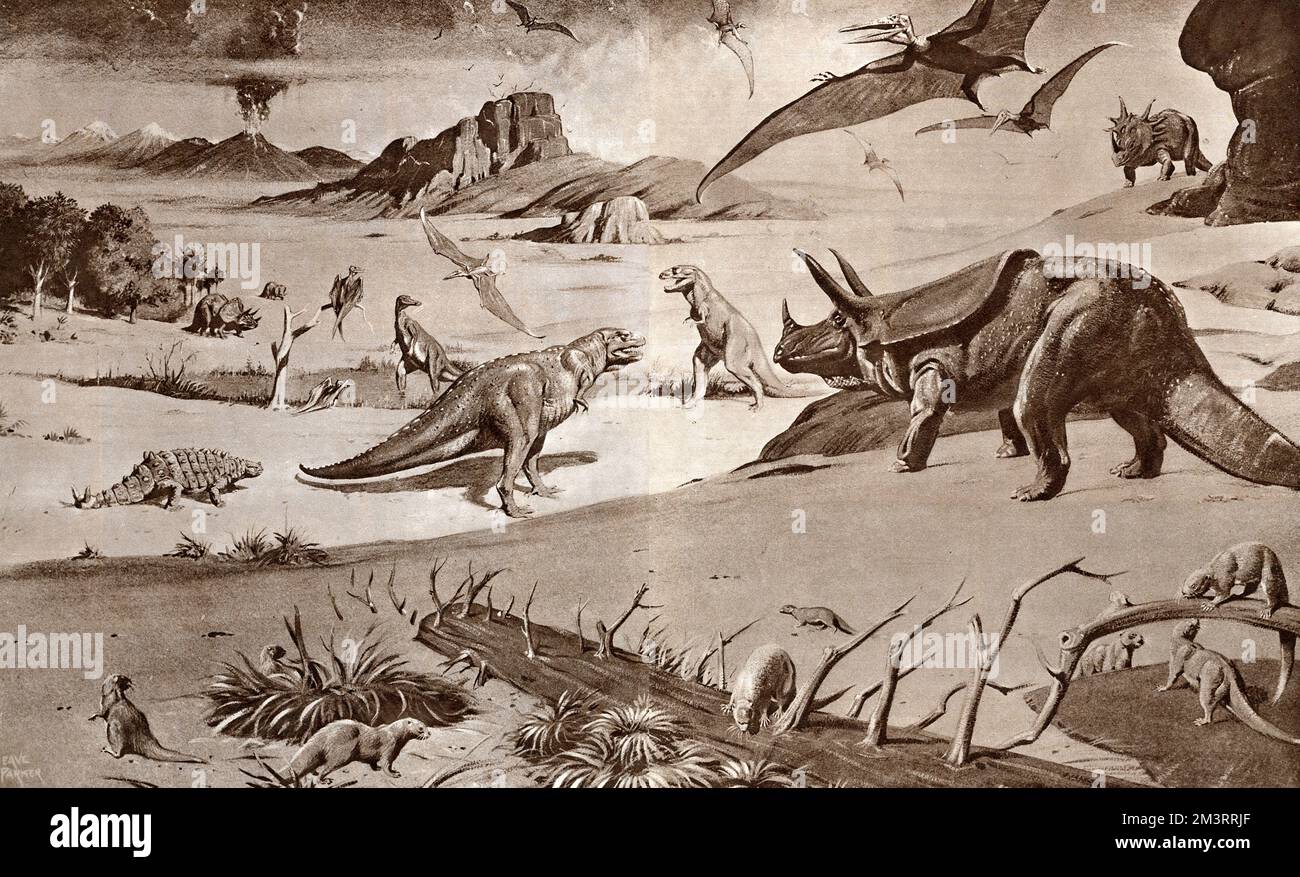 Die letzten Tage der Dinosaurier - Kreidezeit - eine Zeit des großen Wandels, vor etwa 80 Millionen Jahren. Illustration von Neave Parker (in Zusammenarbeit mit Dr. W. E. Swinton). Diese Zeichnung zeigt eine nordamerikanische Konzentration von späten Kreidedinosauriern, wobei die Anfänge der Rocky Mountains in der Ferne „wegschneien“. Datum: 80 Millionen Jahre v. Chr Stockfoto