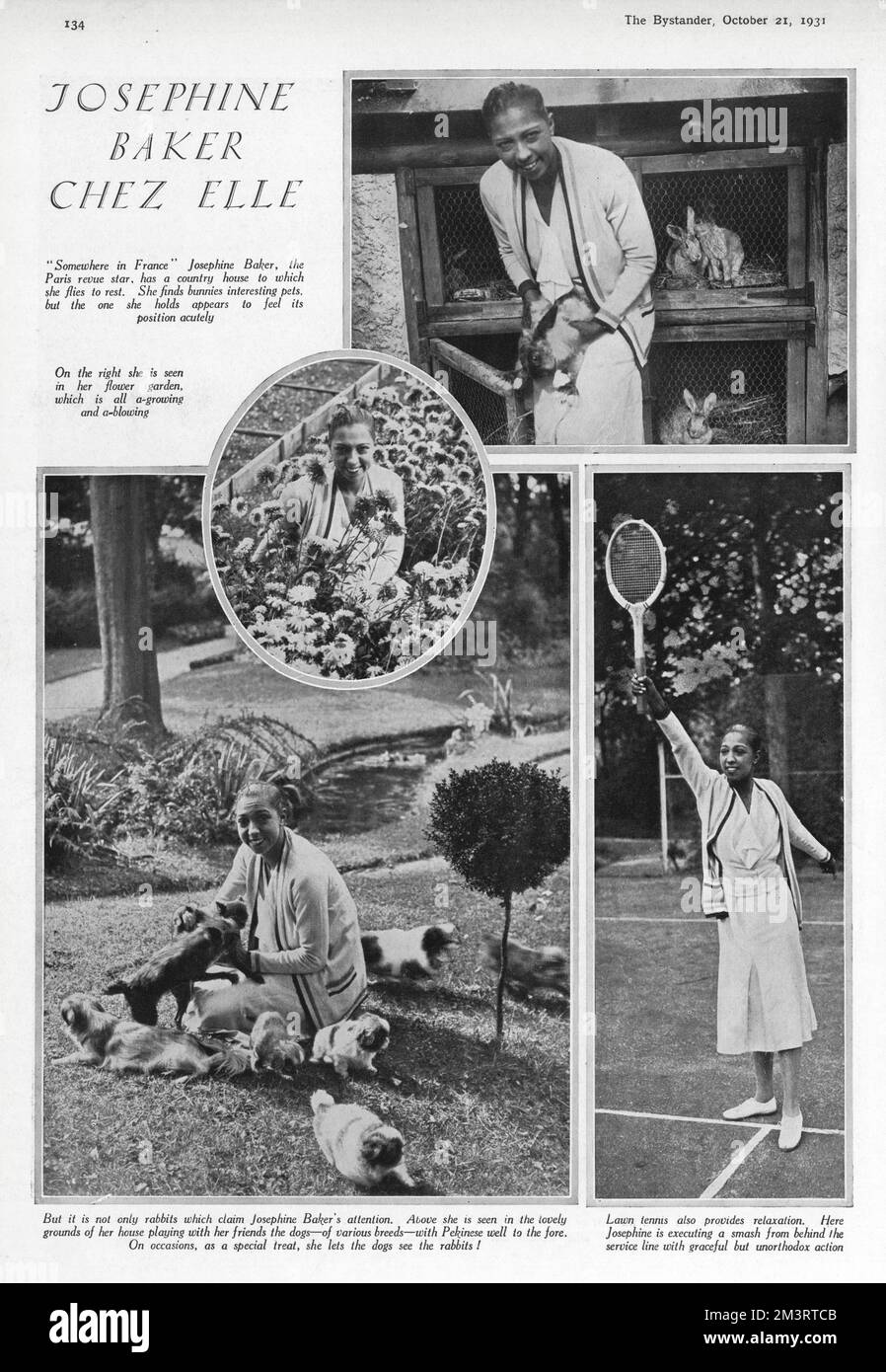 Josephine Baker mit Hasen und vielen kleinen Hunden Stockfoto