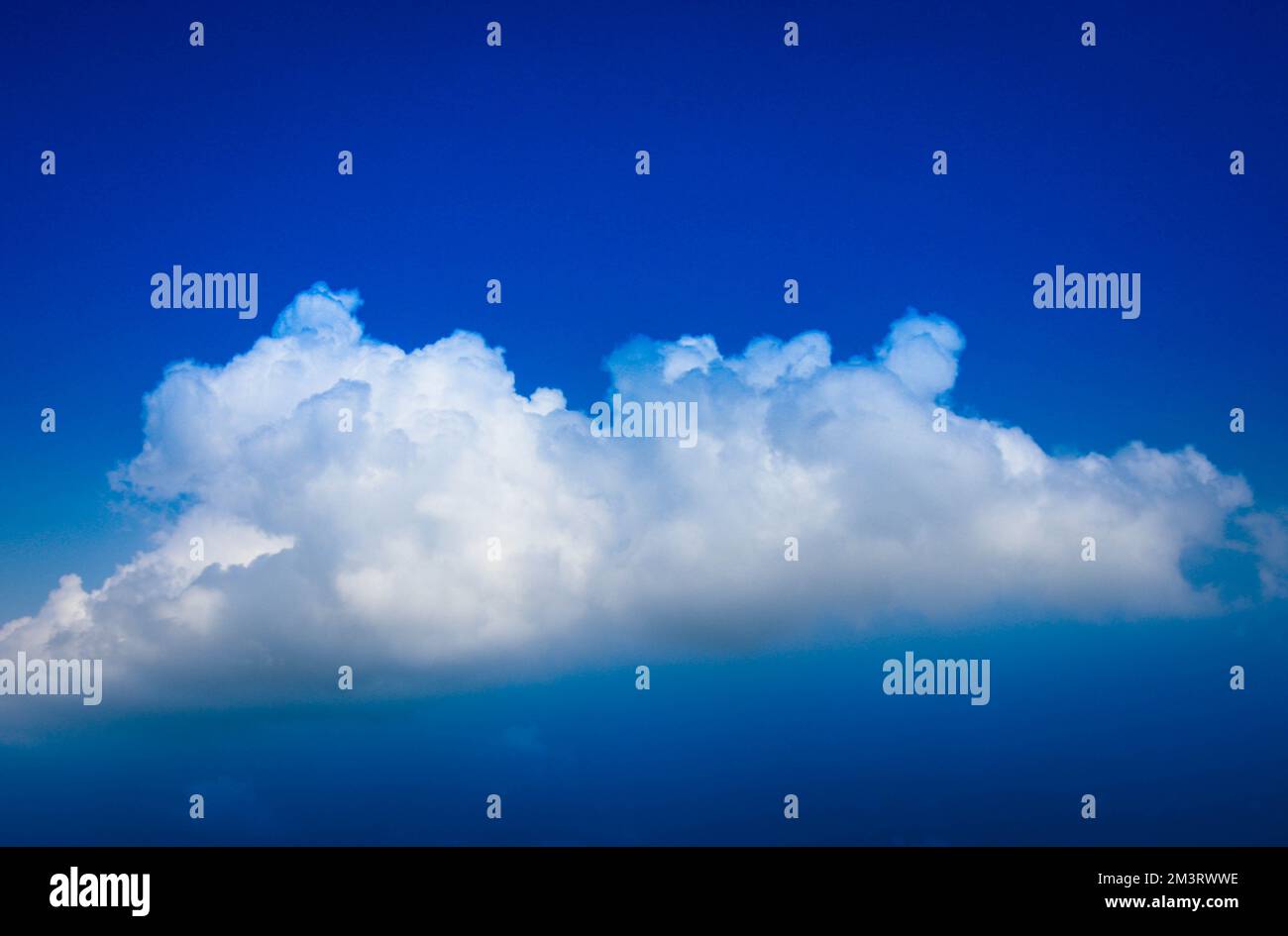 Ein bewölkter Tag ist nichts gegen eine sonnige Stimmung Stockfoto