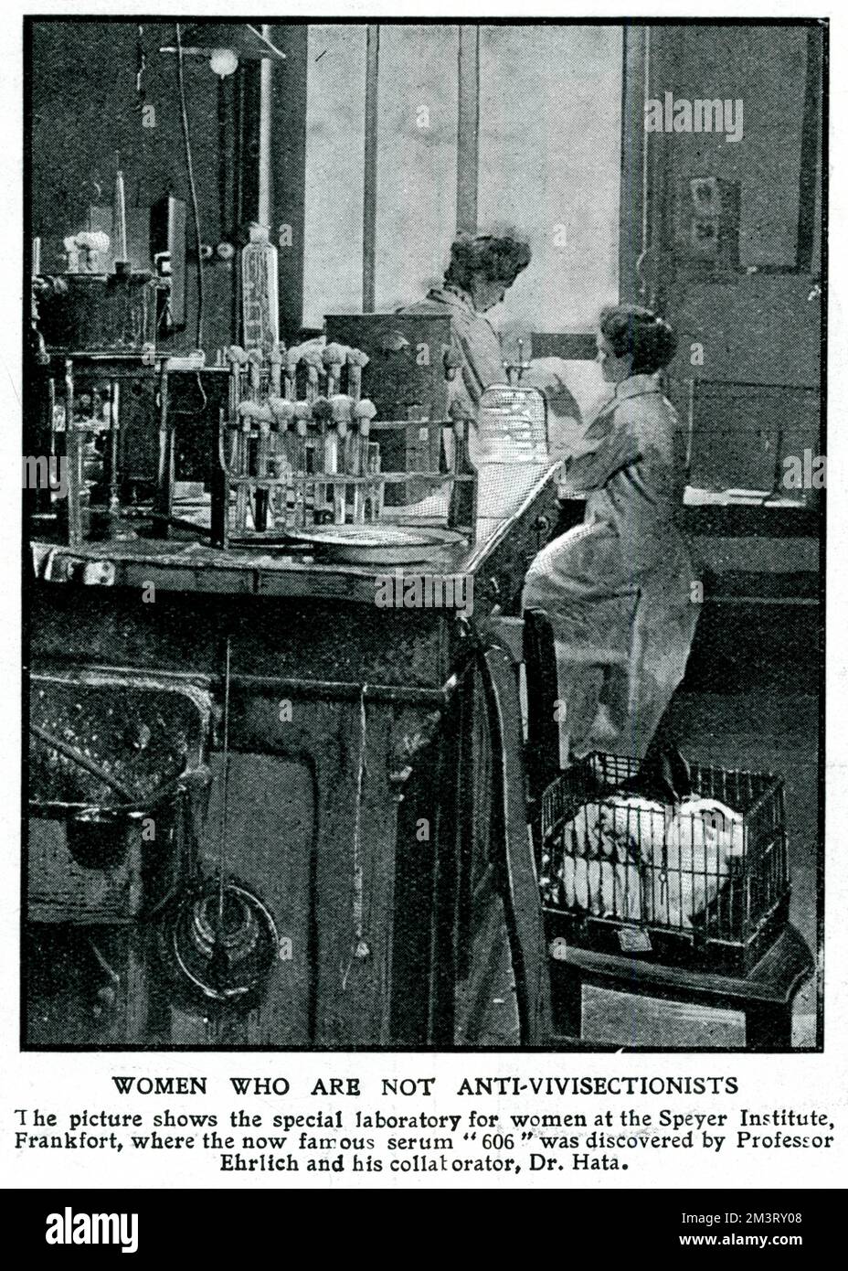 Zwei Frauen, die im "Speziallabor" für Frauen am Speyer-Institut in Frankfort arbeiten. Das Bild trägt die Überschrift "Frauen, die keine Anti-Vivisektionisten sind", was eine Vorstellung vom Schicksal des Kaninchens im Käfig im Vordergrund gibt. Datum: 1910 Stockfoto