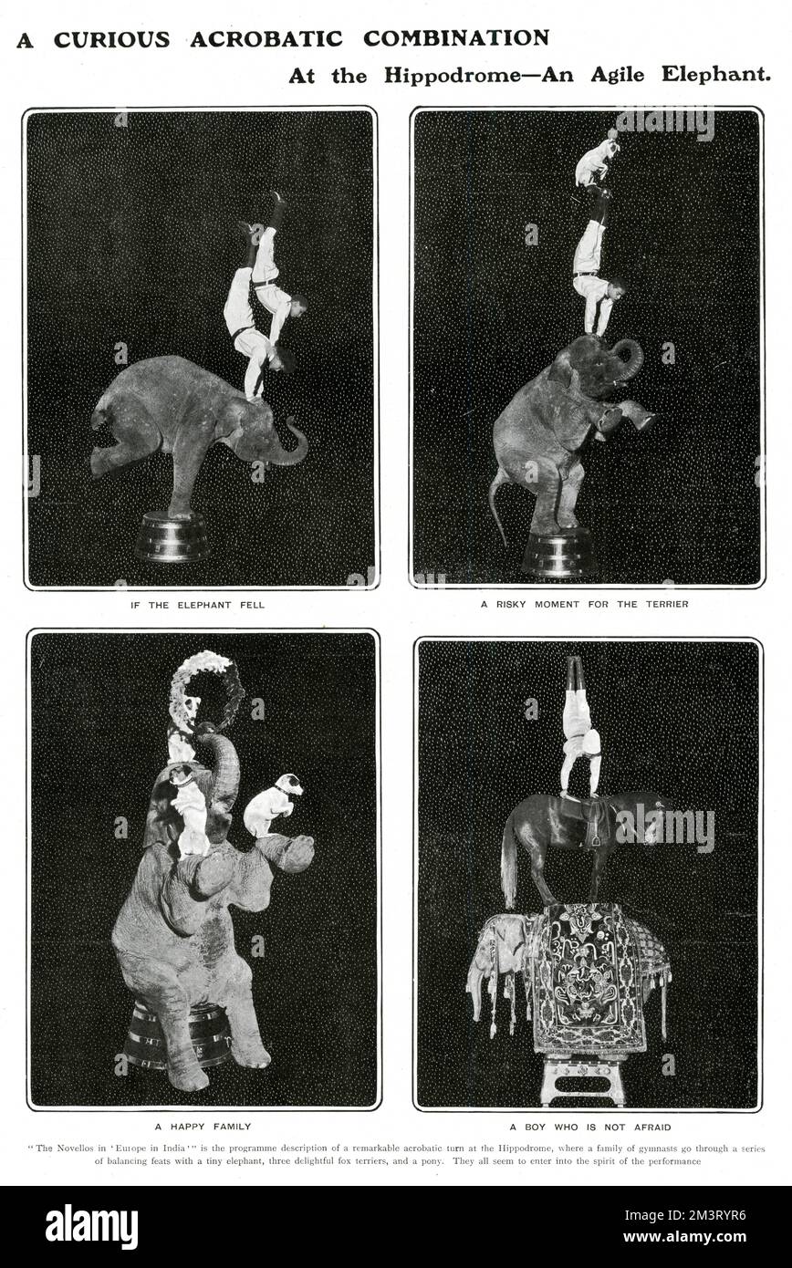 Eine bemerkenswerte akrobatische Wendung am Londoner Hippodrom im Jahr 1904 - The Novellos in „Europe in India“ mit einer Familie von Turnern, die akrobatische und balancierende Leistungen in Kombination mit einem Elefanten darstellten. Ebenfalls beteiligt sind ein Pony und drei kleine Hunde, die auf dem Elefanten balancieren. Datum: 1904 Stockfoto