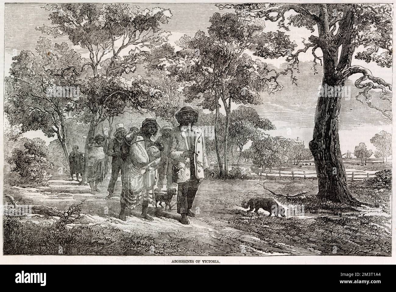 Szene mit den Aborigines of Victoria, die in den illustrierten London News gezeigt wird. Hier werden die einheimischen Australier beschrieben, die manchmal Städte in einer Mischung aus abgespritzter europäischer Kleidung und ihrer traditionellen Kleidung besuchen. Stockfoto