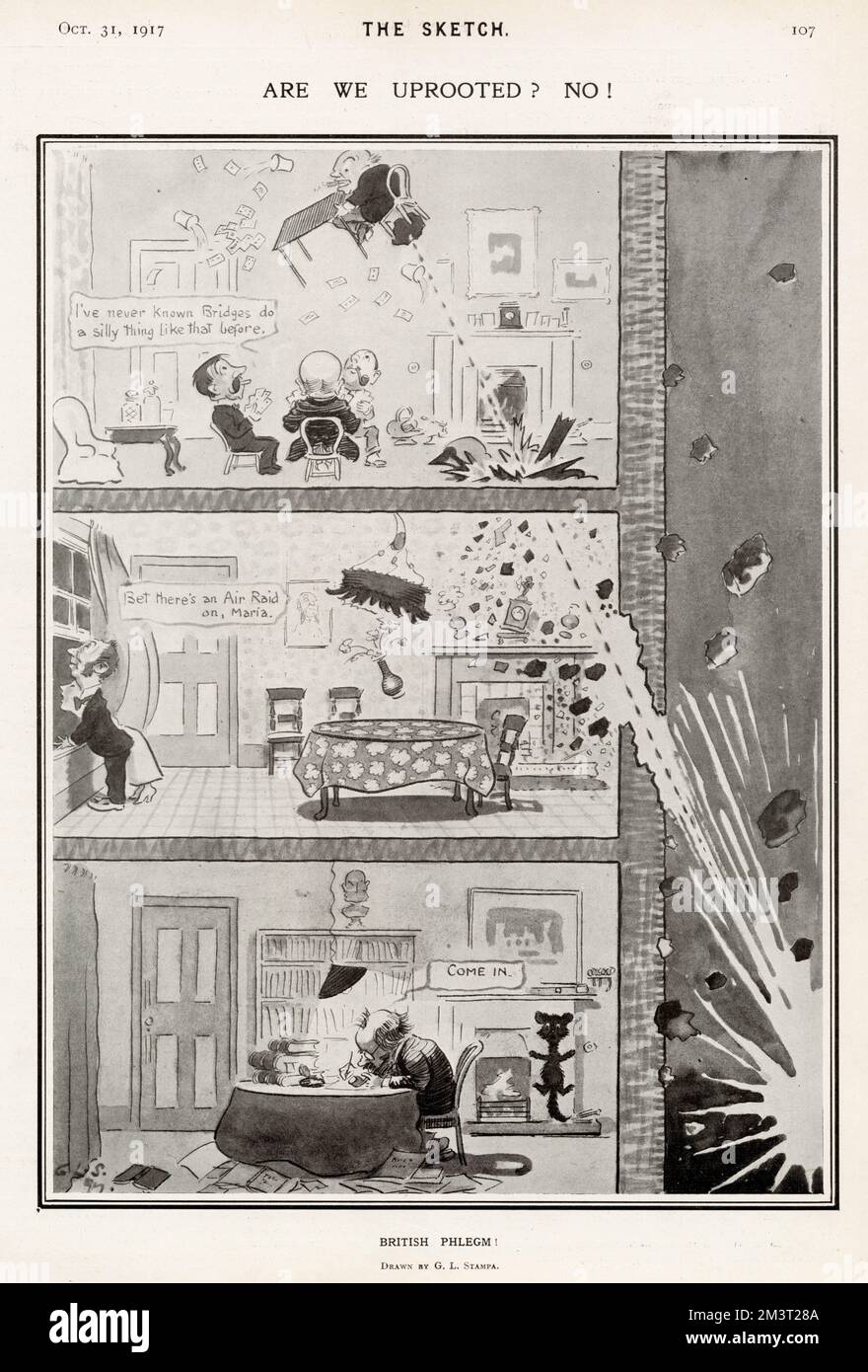 Sind wir entwurzelt? Nein! Von G. L Stampa Stockfoto