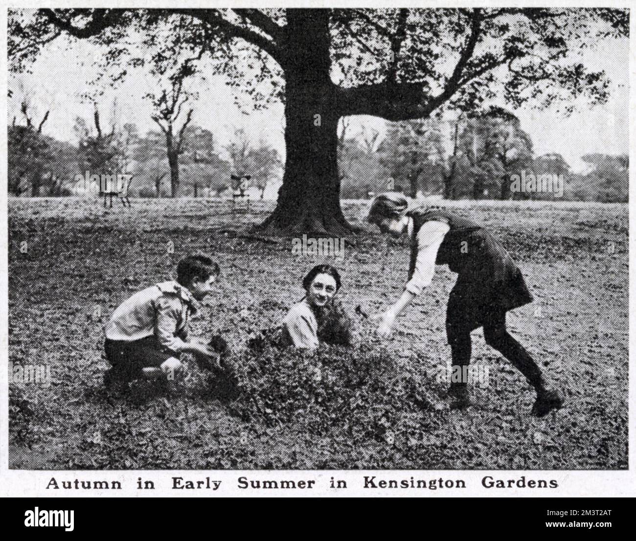 Mädchen in Kensington Gardens, die im Sommer 1921 bei heißem Wetter und langer Trockenheit zwischen getrockneten Blättern spielen, die von den Bäumen gefallen sind. Datum: Juli 1921 Stockfoto