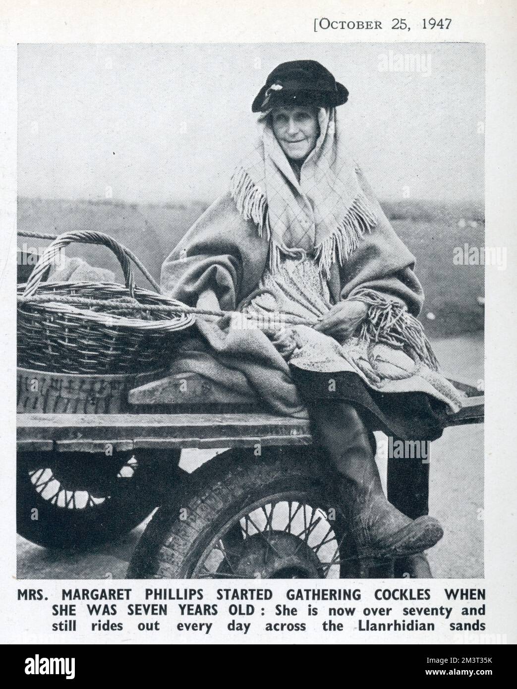 Die Cockle Women of Gower: Eine antike Industrie auf dem Llanrhidian Sands, Südwales. Frau Margaret Philips begann mit sieben Jahren, Schwänze zu sammeln: Zum Zeitpunkt dieses Fotos war sie über siebzig und fuhr noch jeden Tag durch den Llanrhidian Sands. Stockfoto