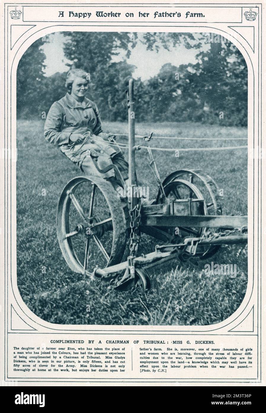 Gladys Dickens, 15 Jahre alt, Tochter eines Bauern in Eton. Der das Land im Ersten Weltkrieg bearbeitete, den Platz eines Mannes einnahm, der zum Dienst ging. Stockfoto