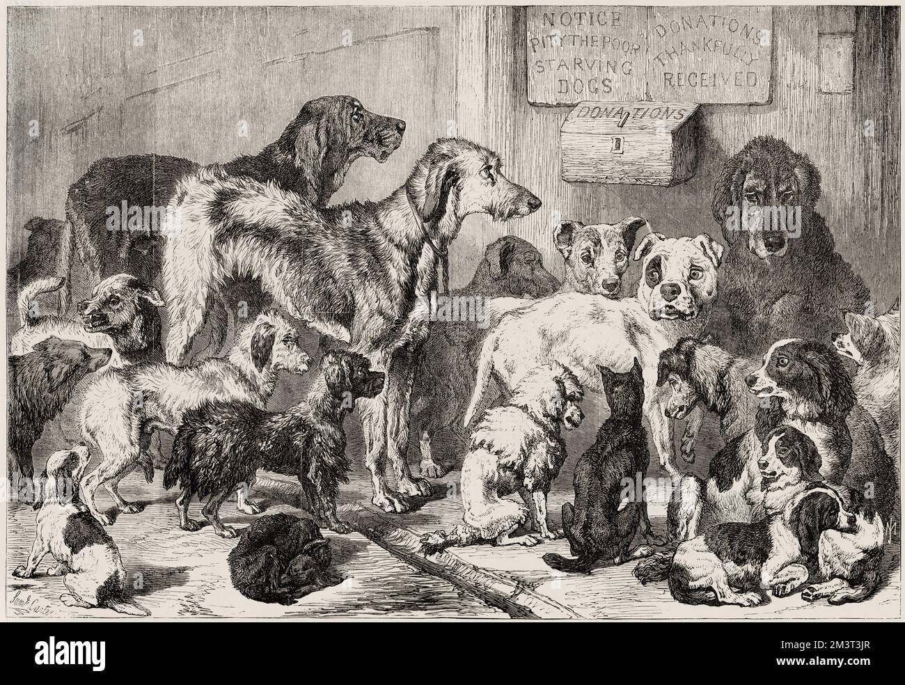 Heimat für verlorene und hungernde Hunde, Hollingsworth Street im Norden von London, Islington / Holloway Area. Dies war die erste Iteration von Battersea Dogs' Home, bevor es 1871 nach Battersea im Süden Londons zog. Das „temporäre Heim für verlorene und hungernde Hunde“, wie es ursprünglich genannt wurde, wurde 1860 von Frau Mary Tealby und einem Ausschuss von Tierliebhabern in Holloway, North London, gegründet. Stockfoto