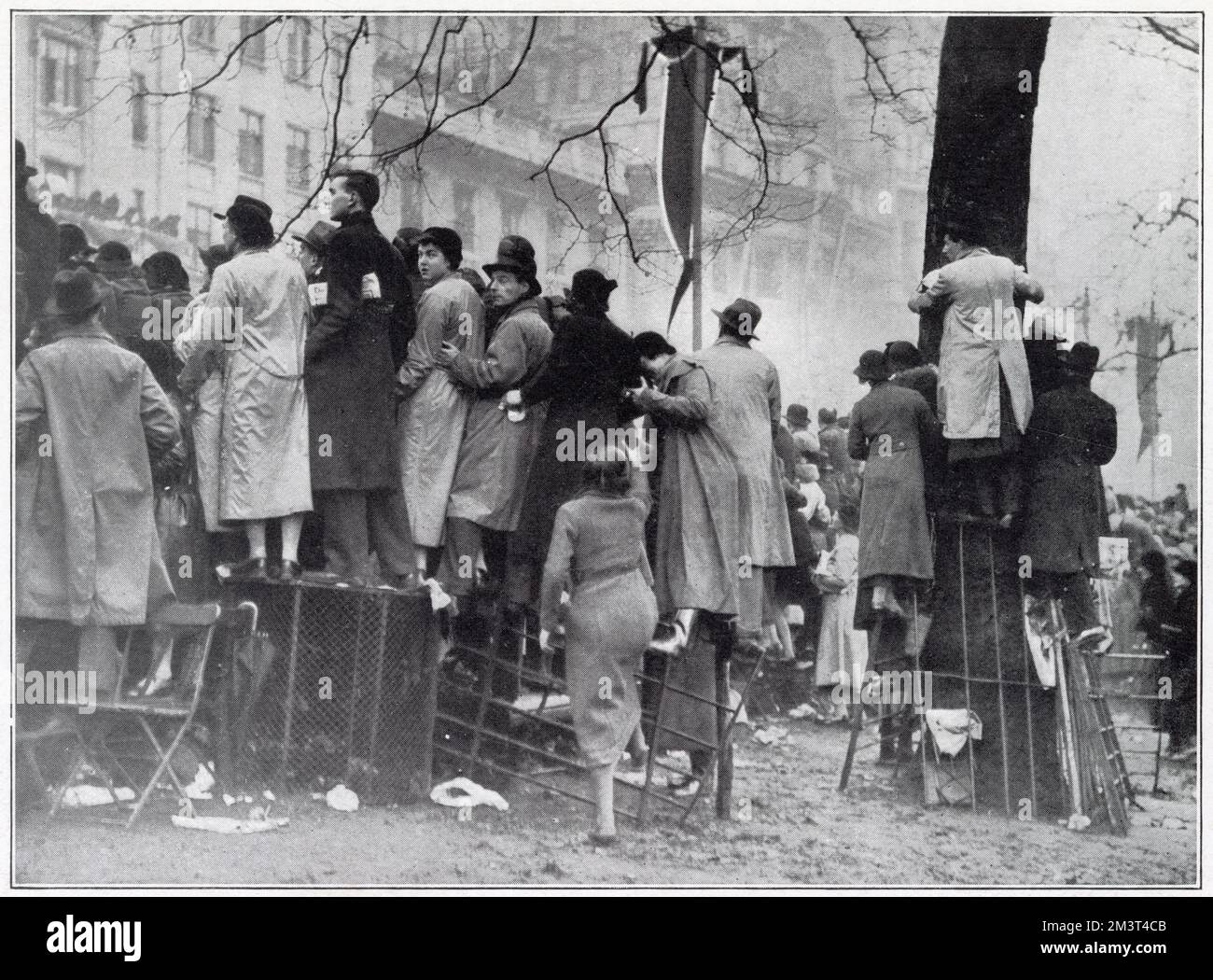 Die Menschen im Green Park balancieren auf Stühlen, Mülltonnen und klettern auf Bäume, um einen Blick auf die BestattungsProzession von König George V zu werfen, die auf dem Weg von Westminster Hall zur Paddington Station entlang Piccadilly weiterging. Stockfoto