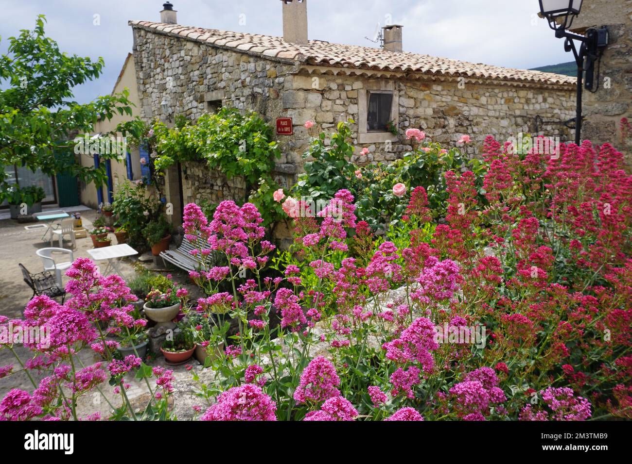 Landschaft in den südlichen Hügeln der alpen, Frankreich im Frühling an einem sonnigen Tag mit einem alten Steinhaus und blühenden rosa Wildblumen Stockfoto