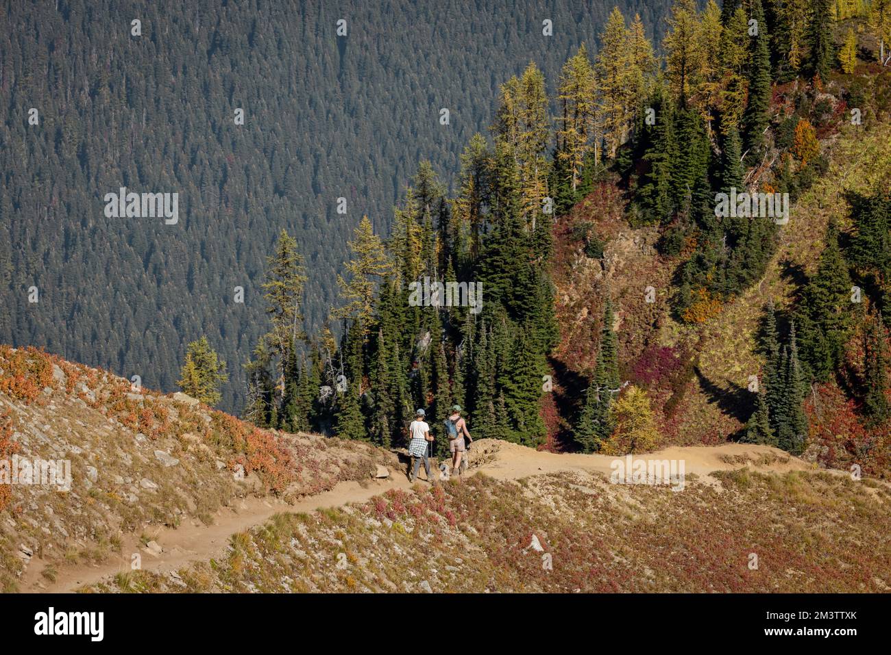 Zwei nicht identifizierbare Rucksacktouristen wandern mit ihrem Hund an der Leine, mit großen Bäumen und Bergen als Kulisse auf der Karte Stockfoto