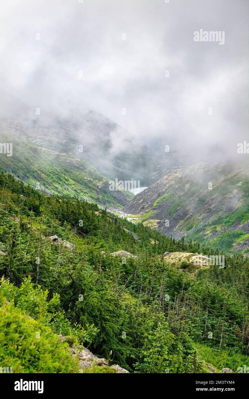 Neblig stimmungsvolles Wetter; entlang des South Klondike Highway; British Columbia; Kanada Stockfoto