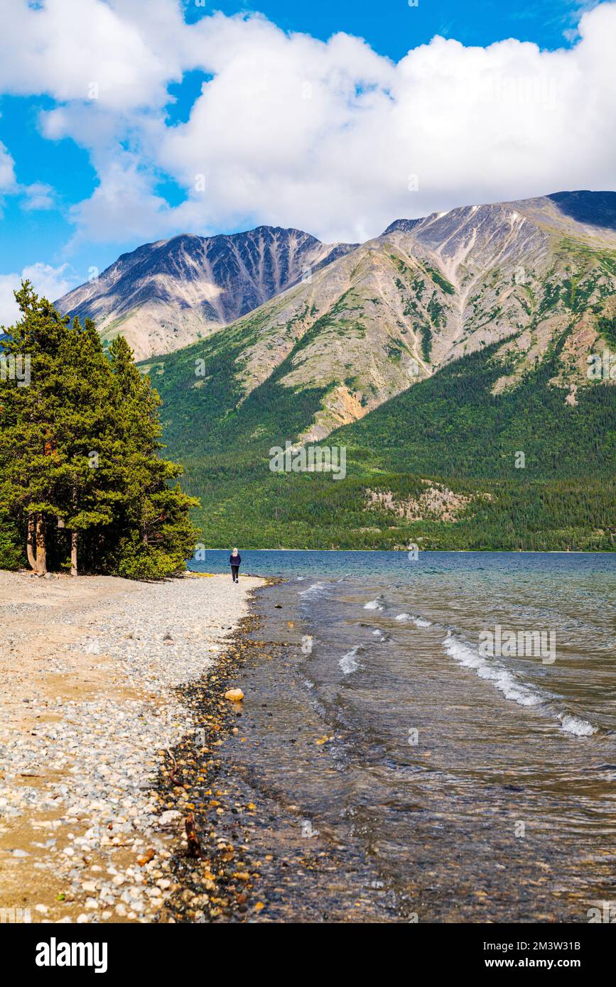 Alleinstehende weibliche Touristin, die den Tutshi Lake, Jack Peak, British Columbia und Kanada erkundet Stockfoto