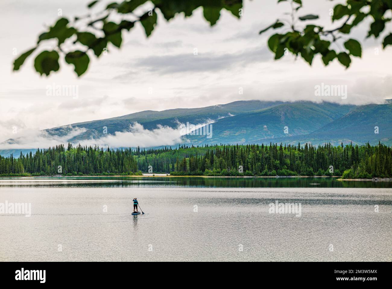 Ein Stehpaddelboot; Boya Lake; Ta CH'ila Provincial Park; British Columbia; Kanada Stockfoto