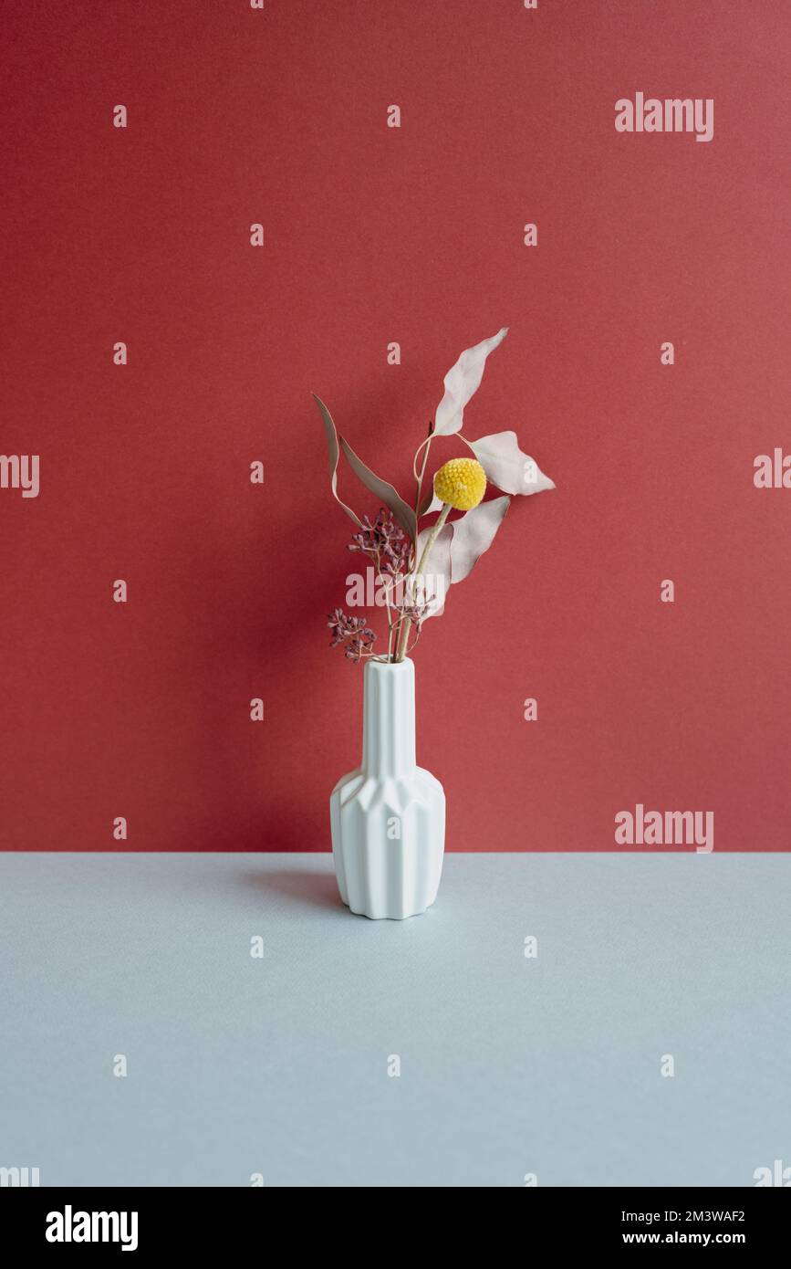 Vase trockener Blumen auf grauem Tisch. Roter Wandhintergrund. Inneneinrichtung. Minimal, einfach. Speicherplatz kopieren Stockfoto