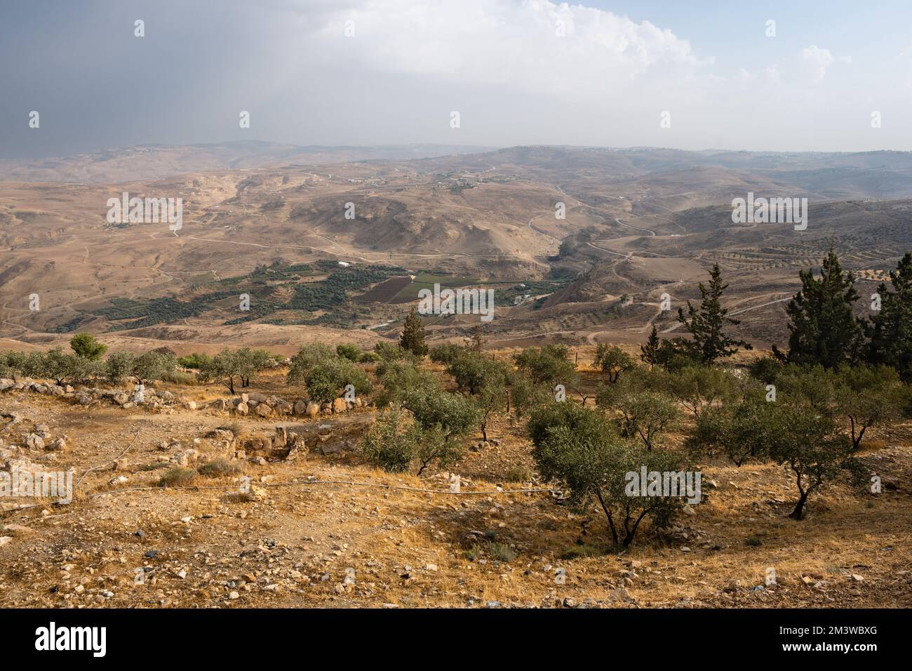 Mount Nebo Landschaft mit dem Dorf Khirbet al-Mukhayyat in Jordanien mit Olivenbäumen Stockfoto