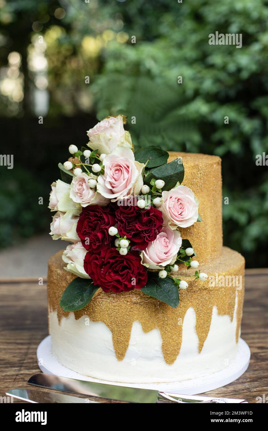 Zweistufige Hochzeitstorte in Weiß und Gold mit roten und pinkfarbenen Rosen und Zruskusblättern Stockfoto
