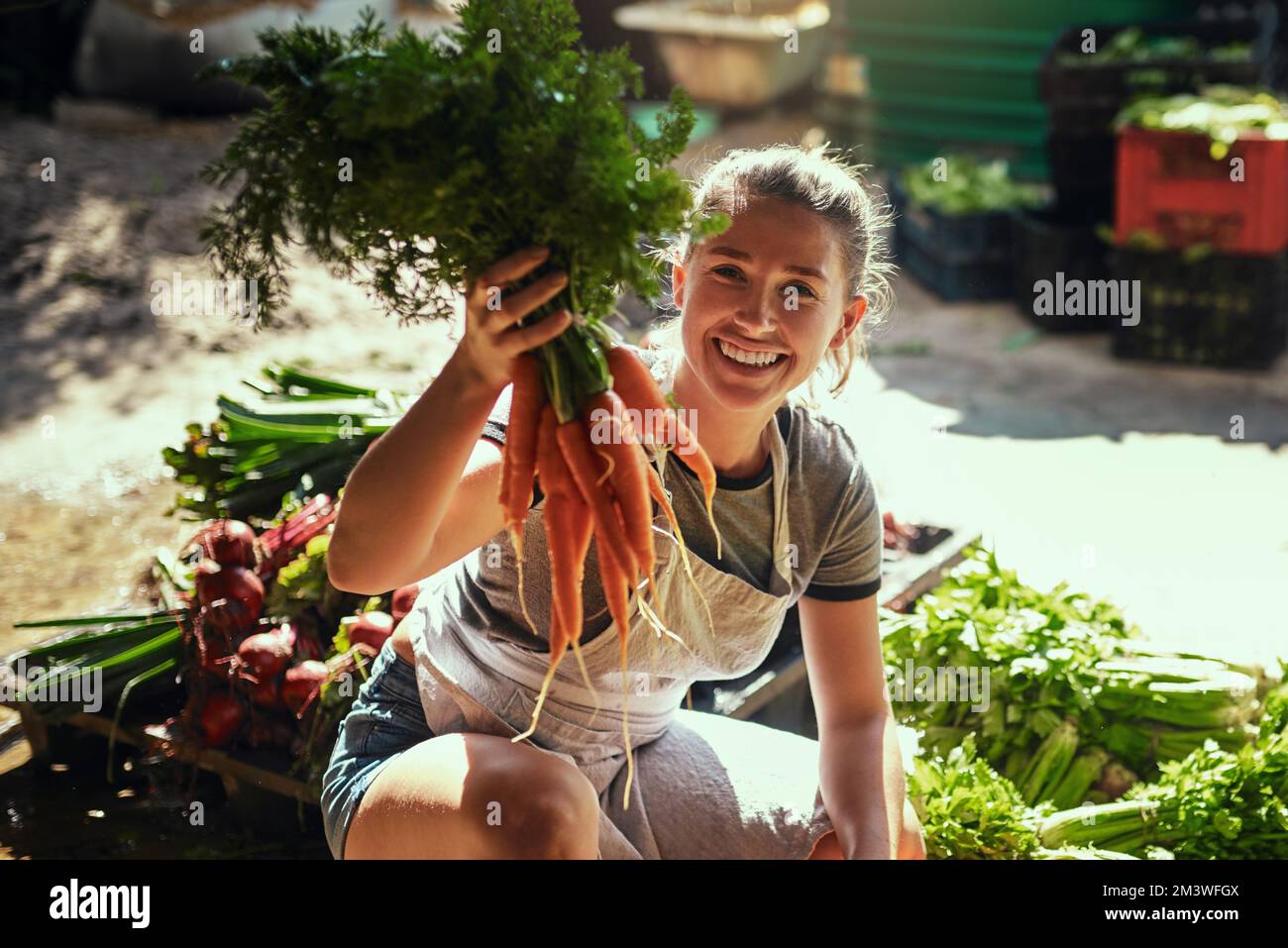 Sieh nur, wie frisch und knusprig sie aussehen. Porträt einer attraktiven, jungen Landwirtin, die einen Haufen frisch gepflückter Karotten auf ihrer Farm hält. Stockfoto